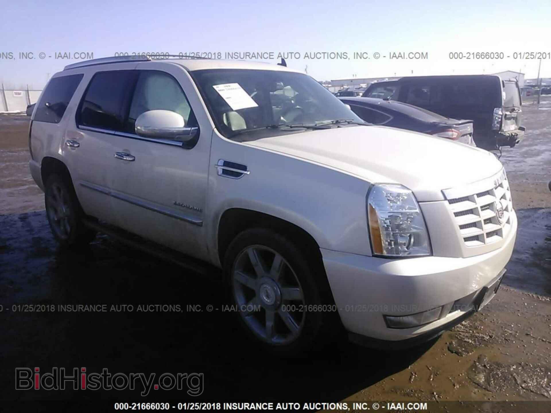 Фотография 1GYS4CEF0BR368750 - Cadillac Escalade 2011