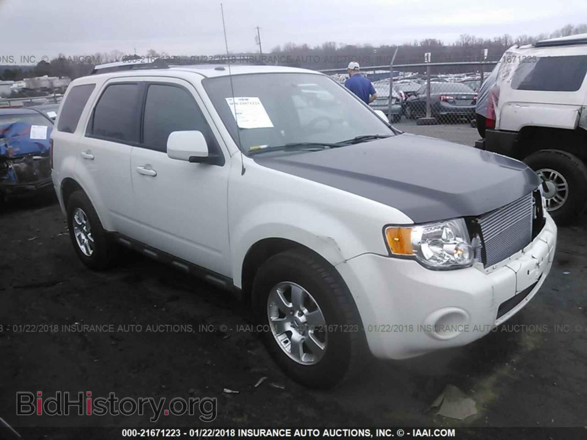 Photo 1FMCU0EG2BKB73688 - Ford Escape 2011