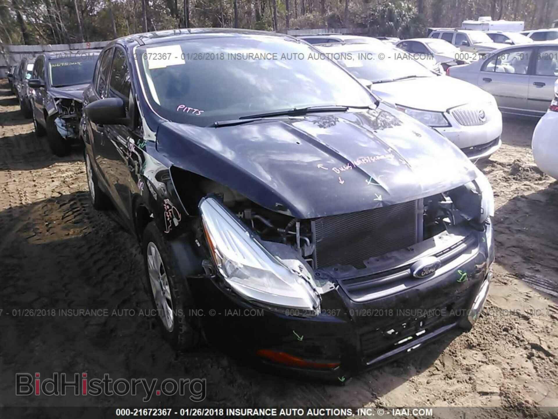Photo 1FMCU0F73DUD07842 - Ford Escape 2013