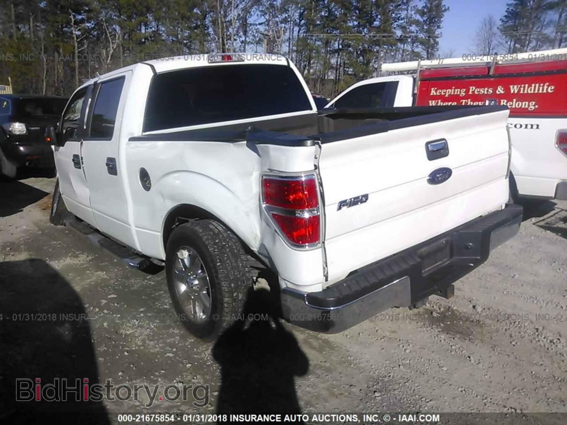 2013 Ford F150 - VIN: 1FTEW1CM5DFD52261 - Фото 3