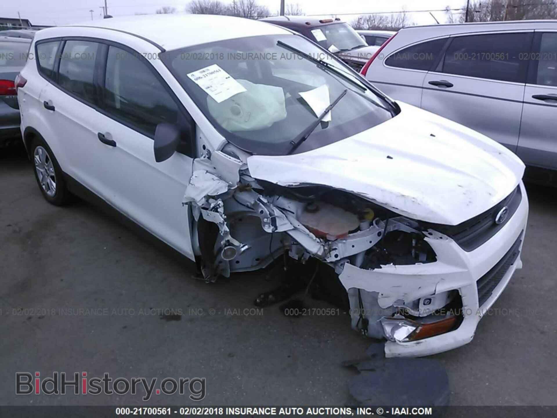 Фотография 1FMCU0F71DUB90293 - Ford Escape 2013