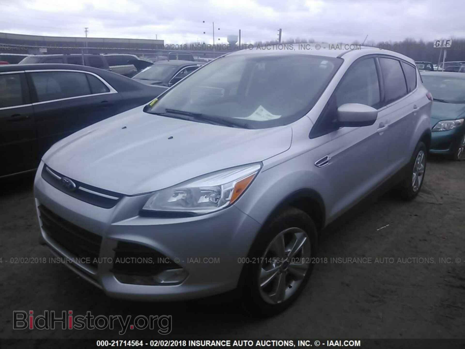 2013 Ford Escape - VIN: 1FMCU0GX2DUA20555 - Фото 2