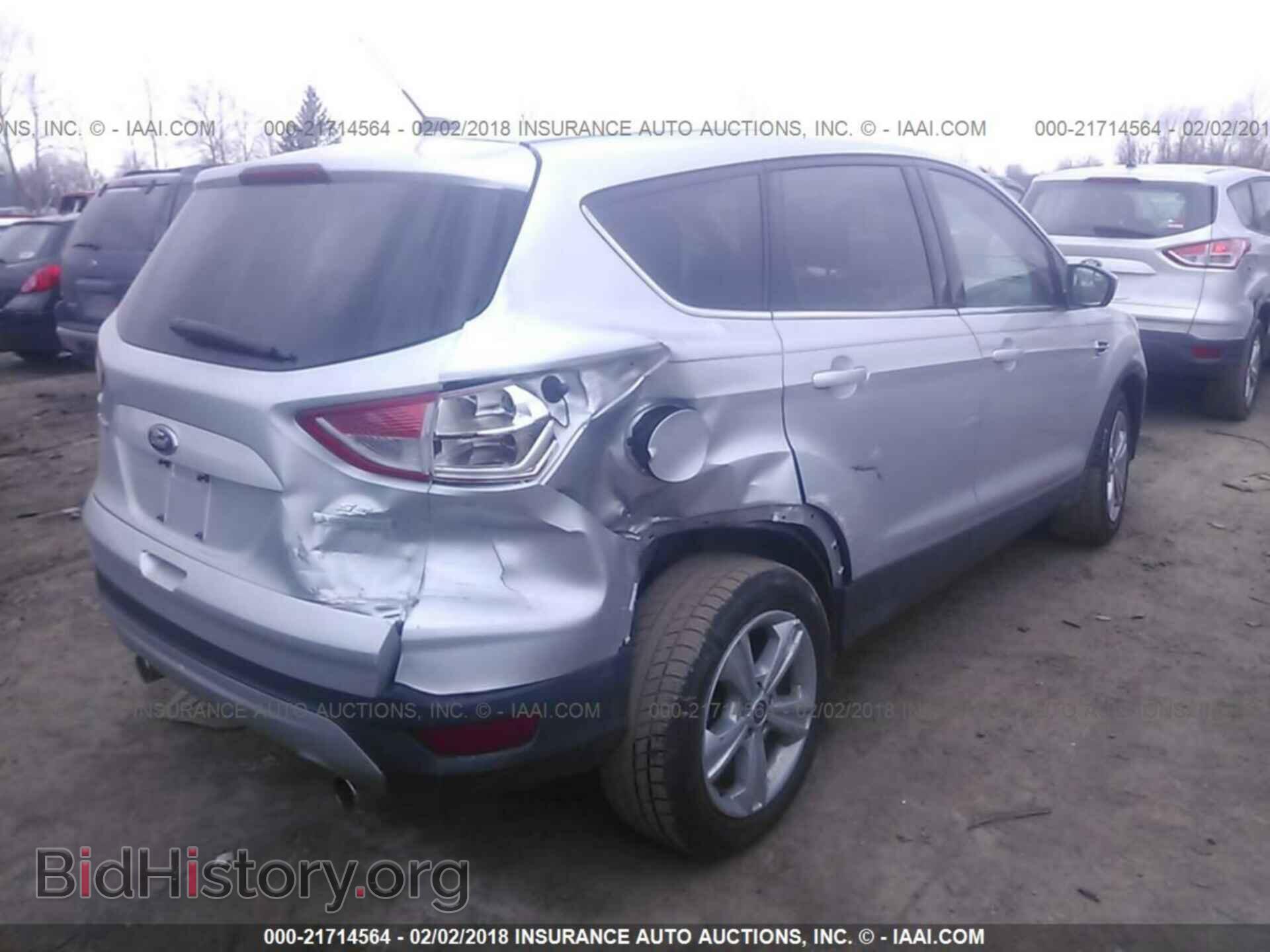 2013 Ford Escape - VIN: 1FMCU0GX2DUA20555 - Фото 4