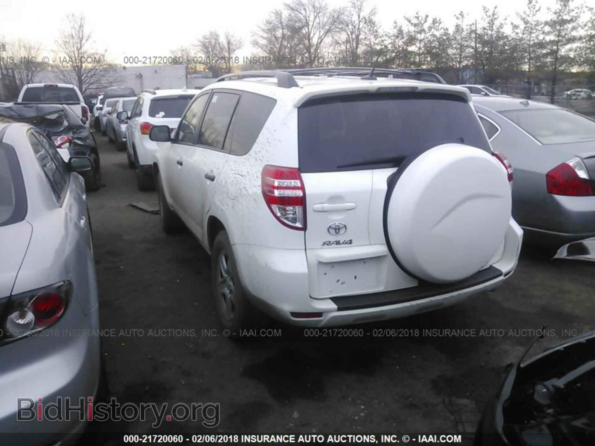 2012 Toyota Rav4 - VIN: 2T3BF4DV5CW229598 - Фото 3