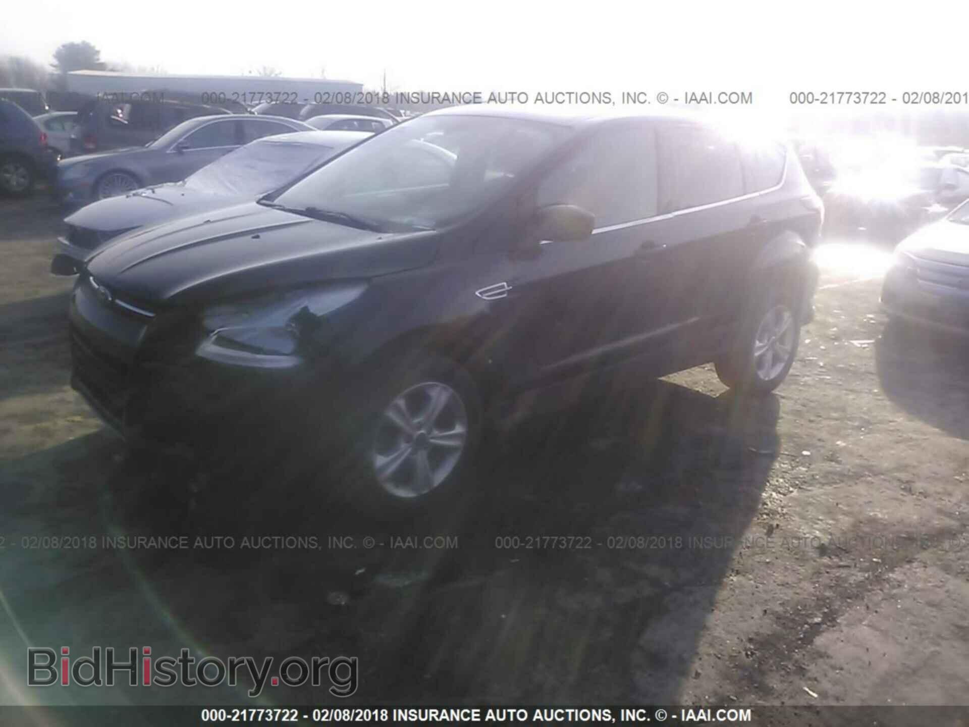 2013 Ford Escape - VIN: 1FMCU0GX4DUB44018 - Фото 2