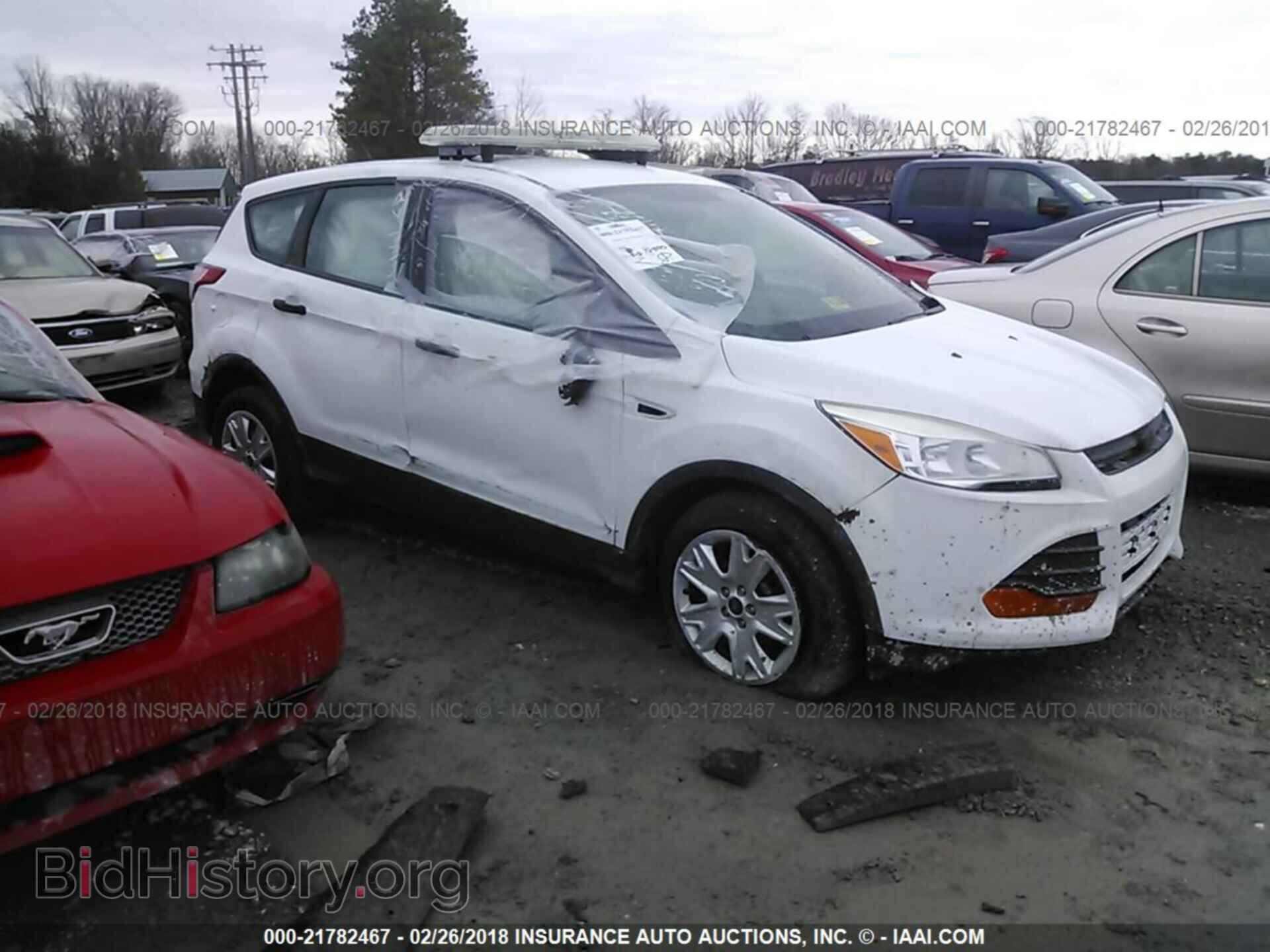 Photo 1FMCU0F70DUA79945 - Ford Escape 2013