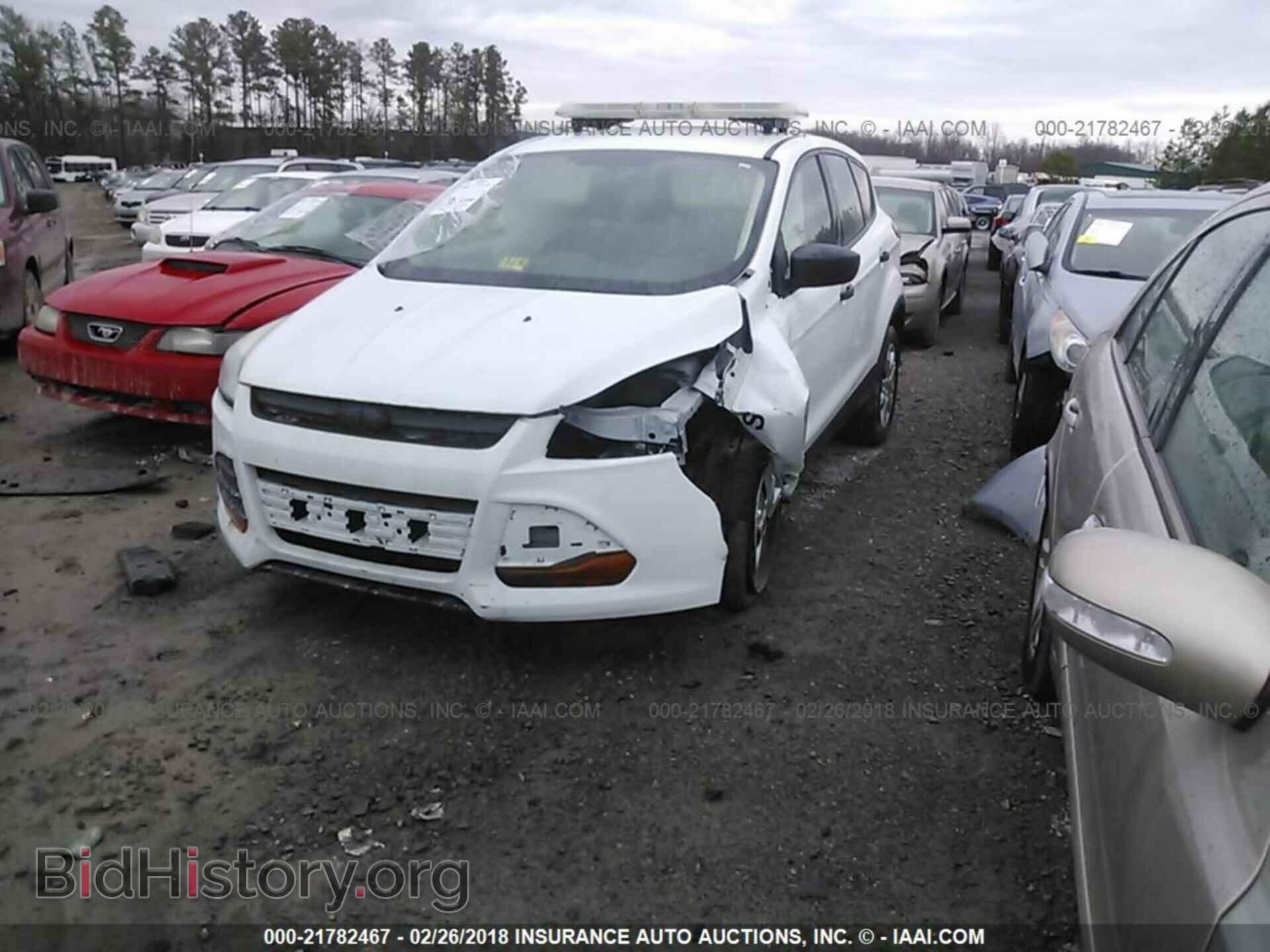 2013 Ford Escape - VIN: 1FMCU0F70DUA79945 - Photo 2