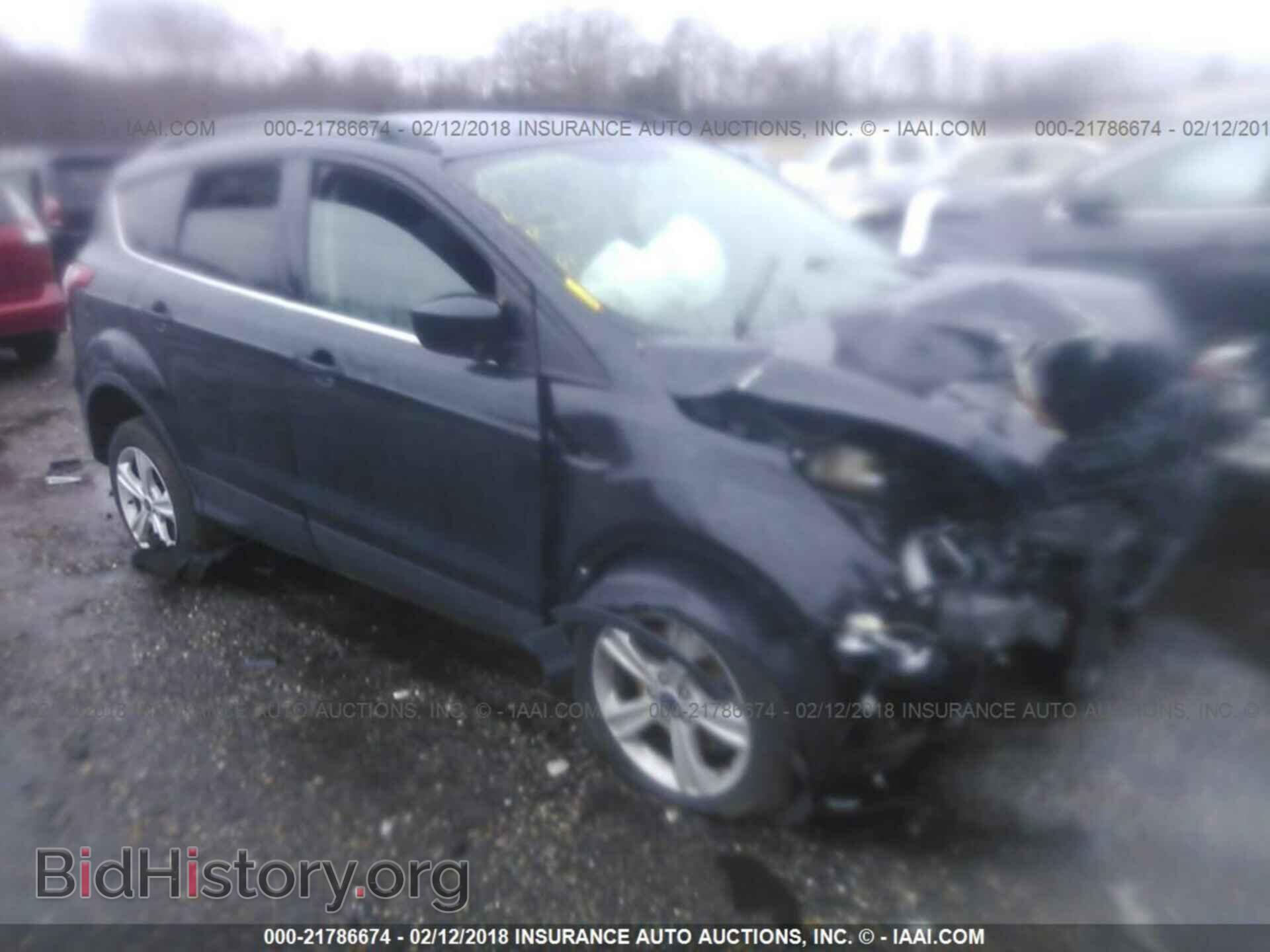 Photo 1FMCU9GX2EUB19446 - Ford Escape 2014