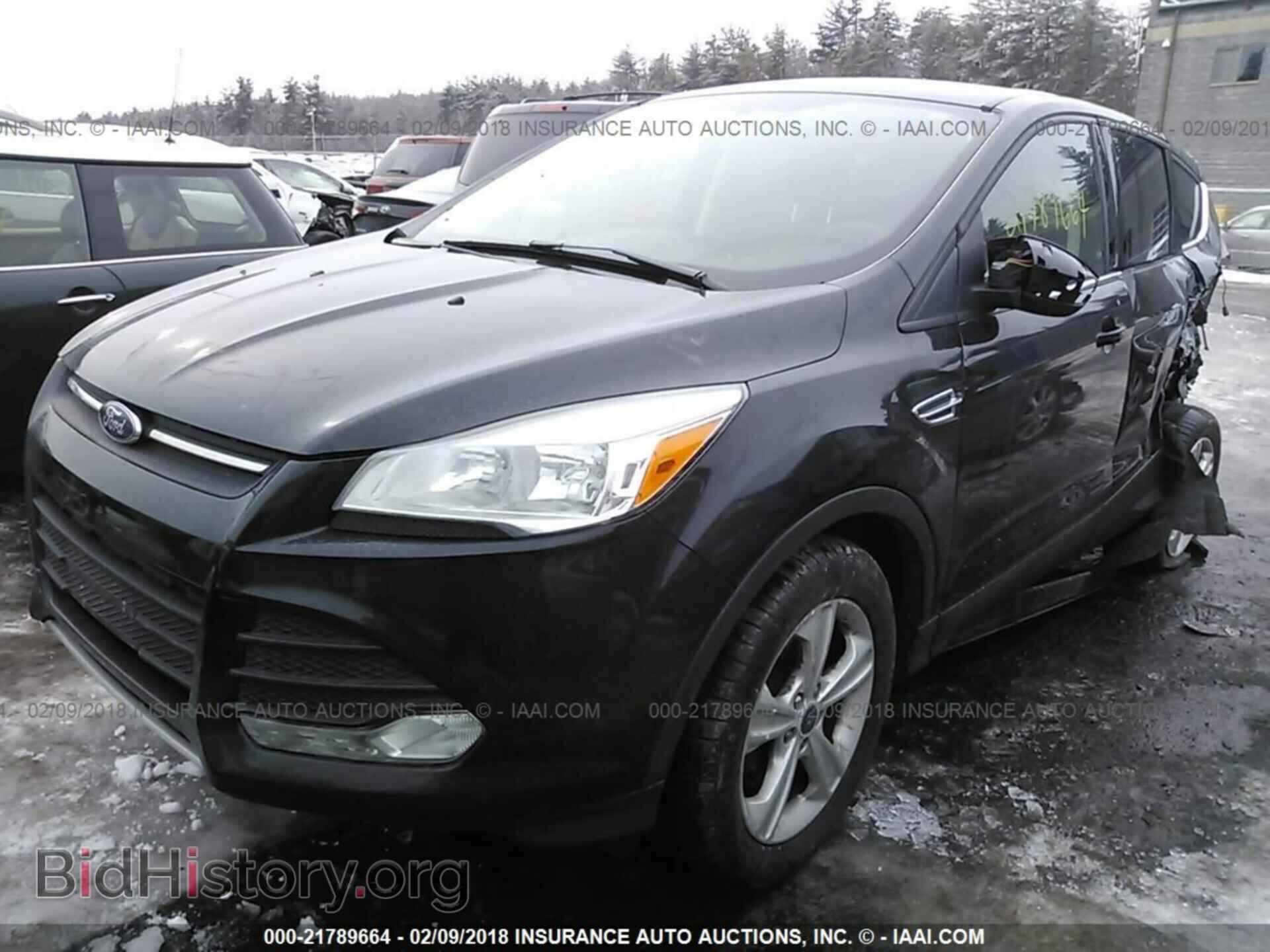 2013 Ford Escape - VIN: 1FMCU9GX8DUB34855 - Фото 2