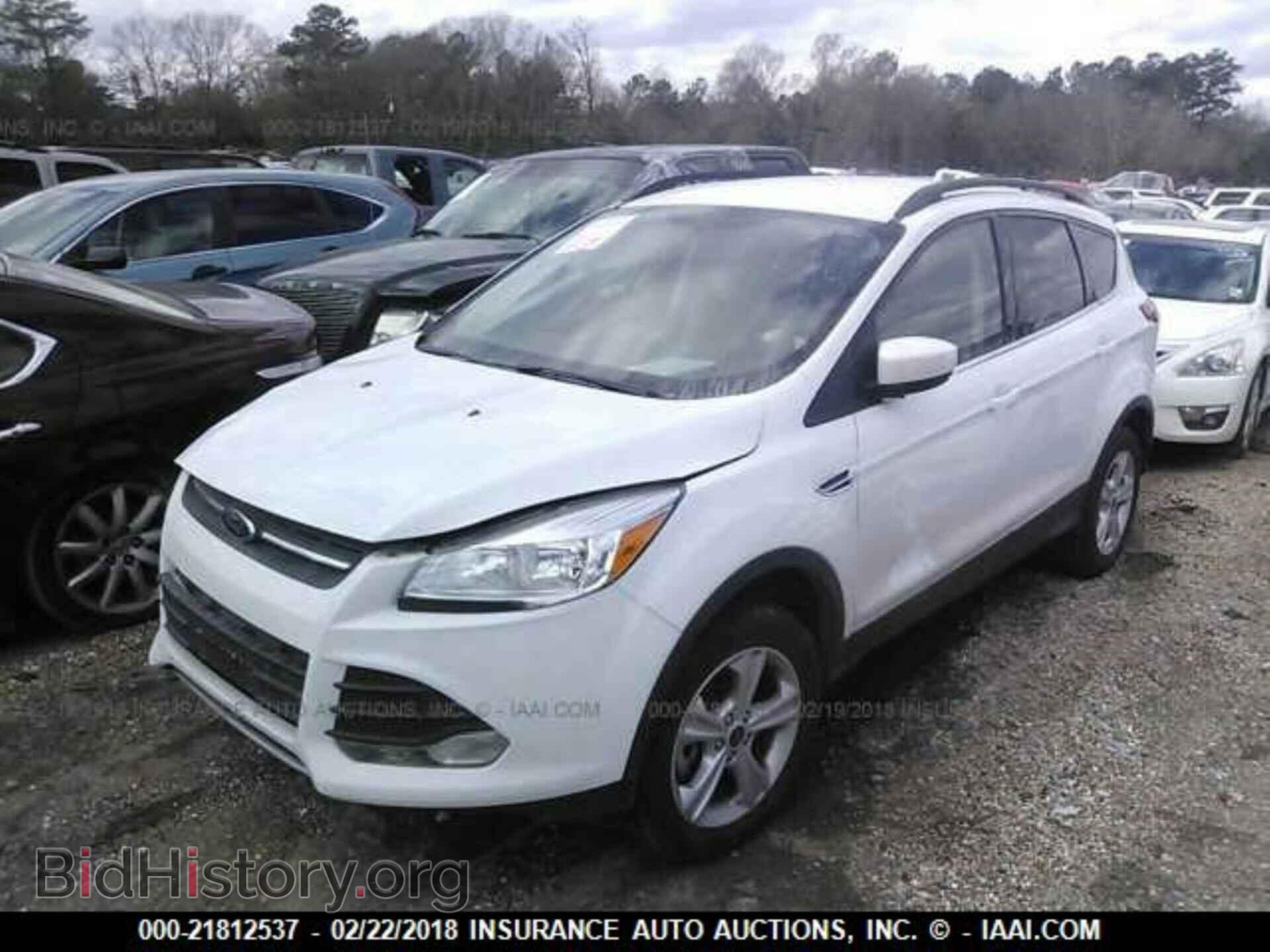 2014 Ford Escape - VIN: 1FMCU9GX4EUD44659 - Фото 2