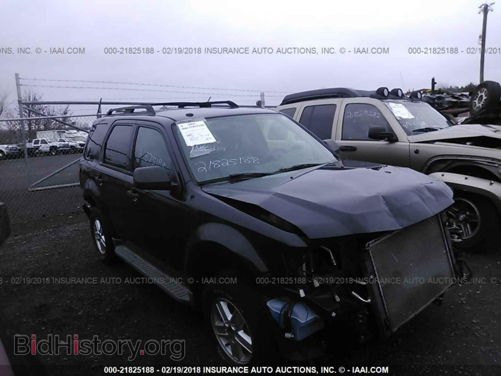 Photo 1FMCU9DG2BKA47773 - FORD ESCAPE 2011