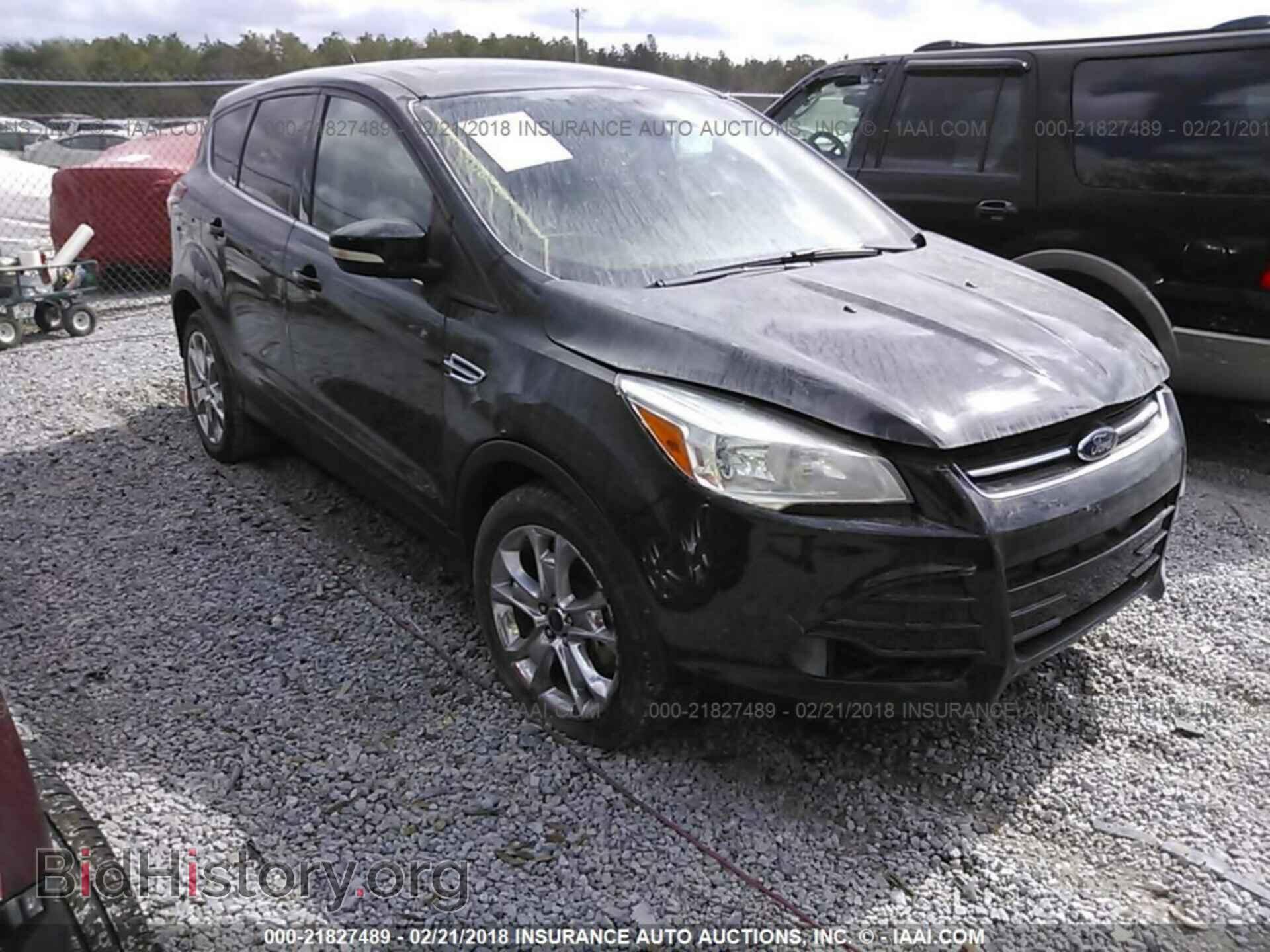 Фотография 1FMCU0H95DUD41103 - Ford Escape 2013