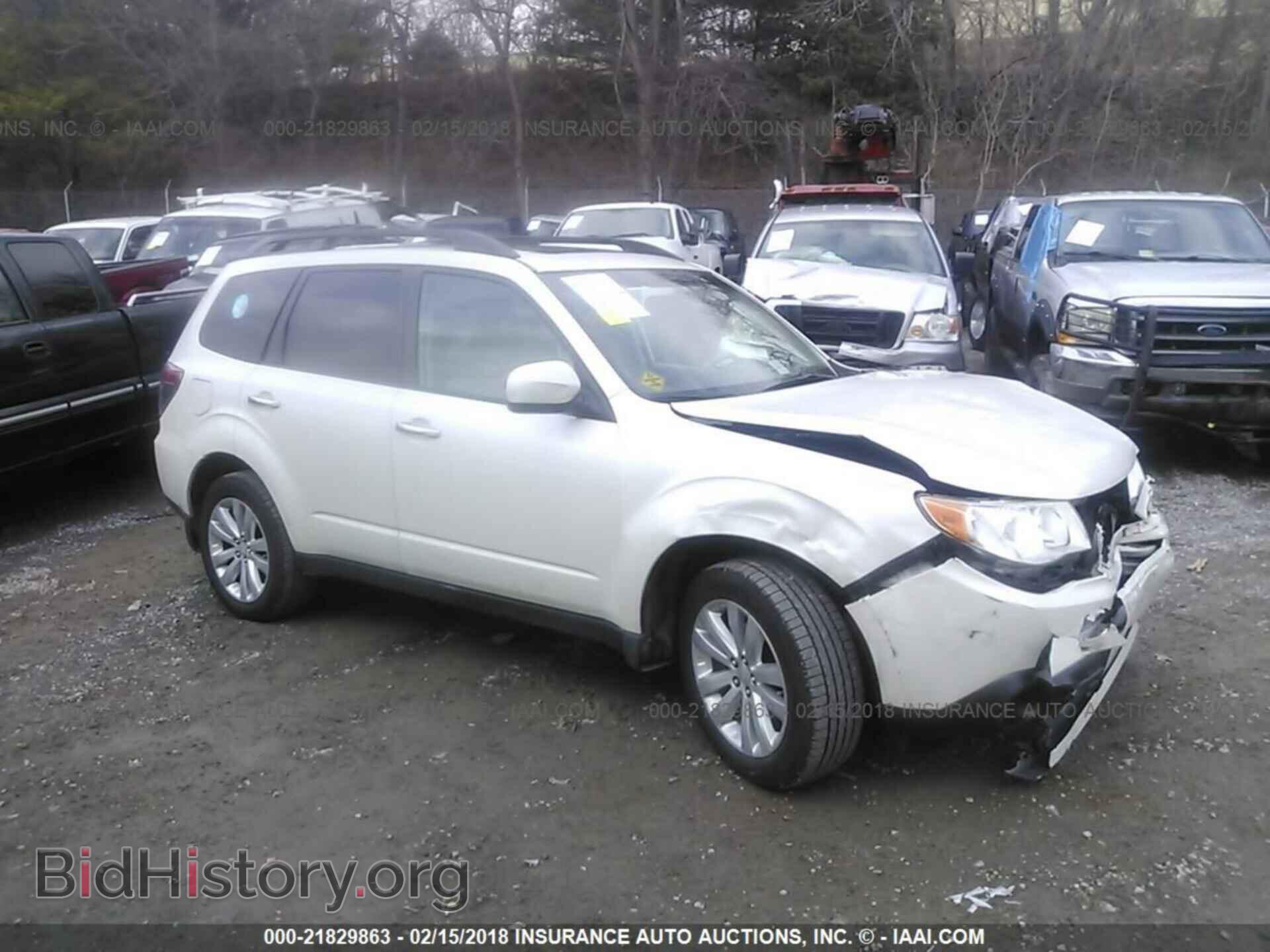 Фотография JF2SHBDC7BH727742 - Subaru Forester 2011