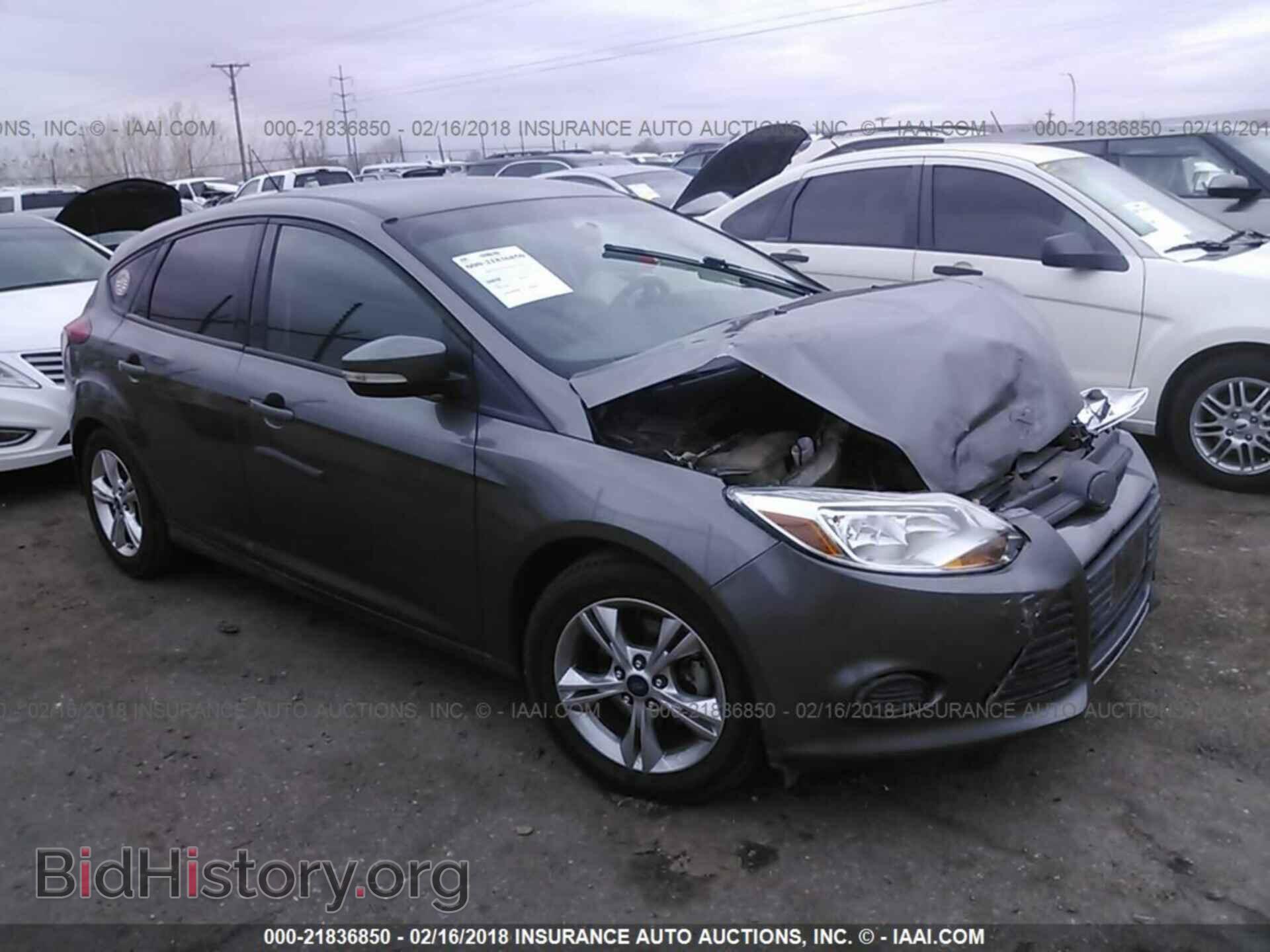 Photo 1FADP3K29DL264048 - Ford Focus 2013
