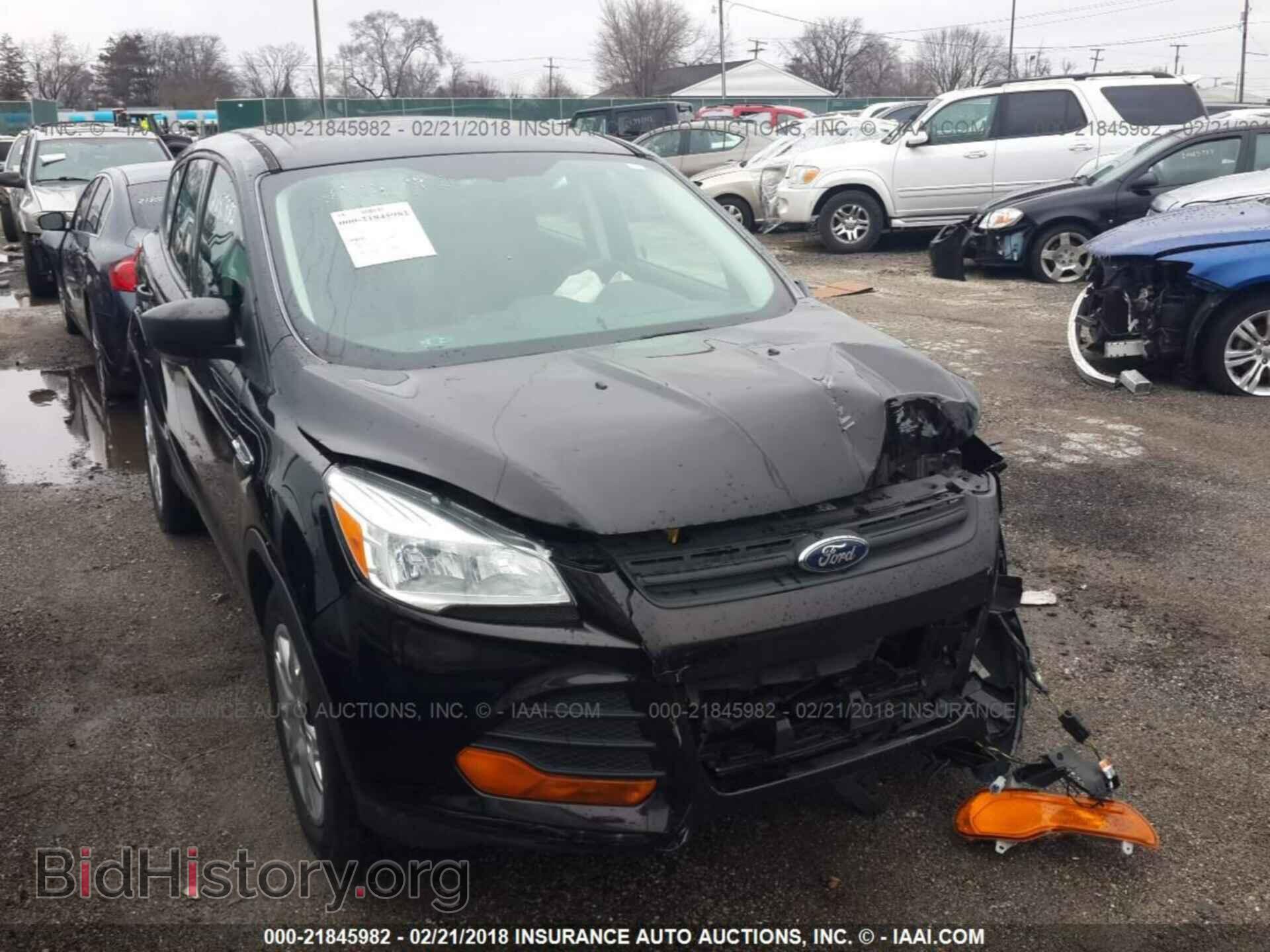 Фотография 1FMCU0F7XDUD50011 - Ford Escape 2013
