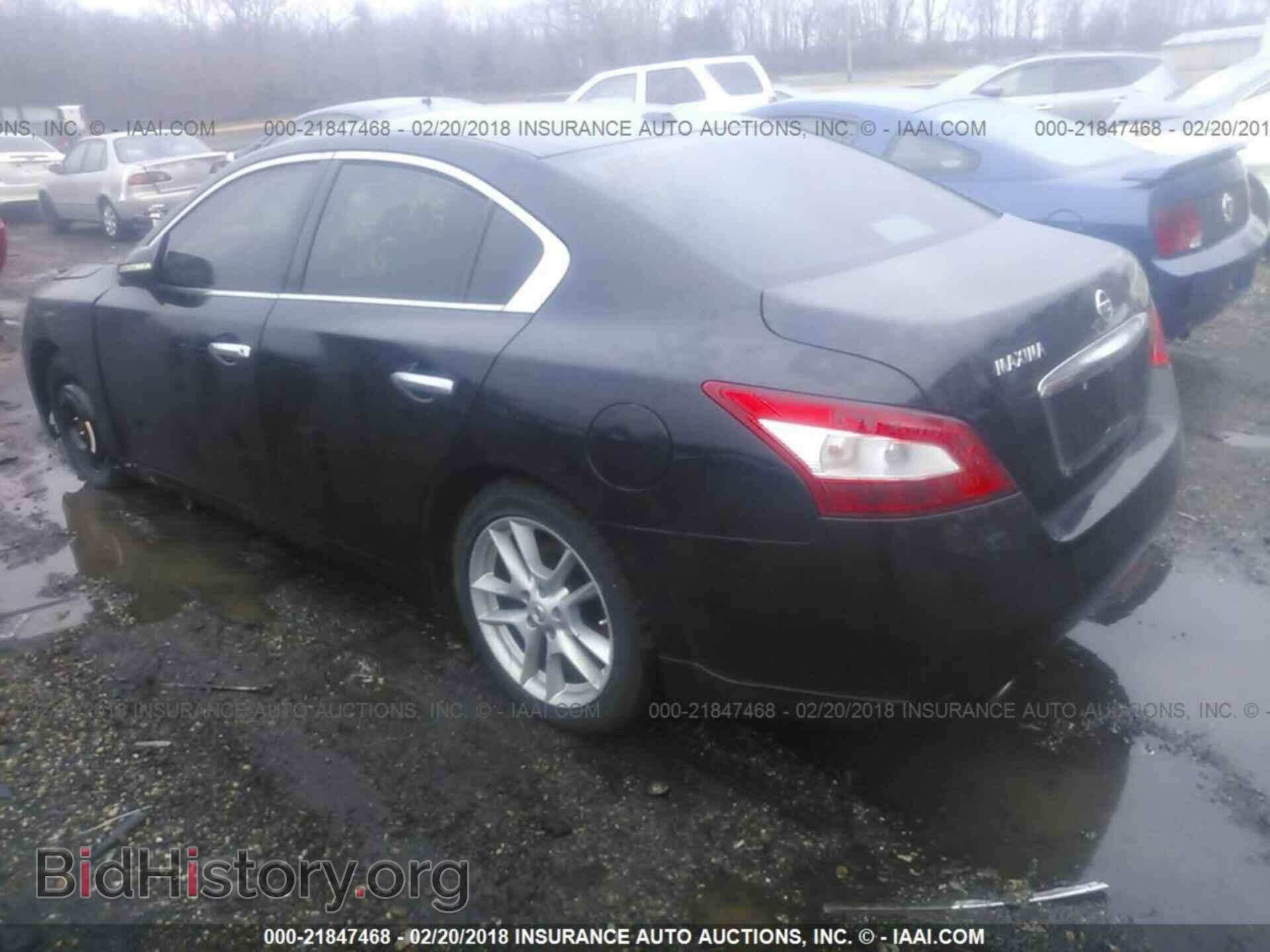 2011 Nissan Maxima - VIN: 1N4AA5AP8BC802135 - Фото 3