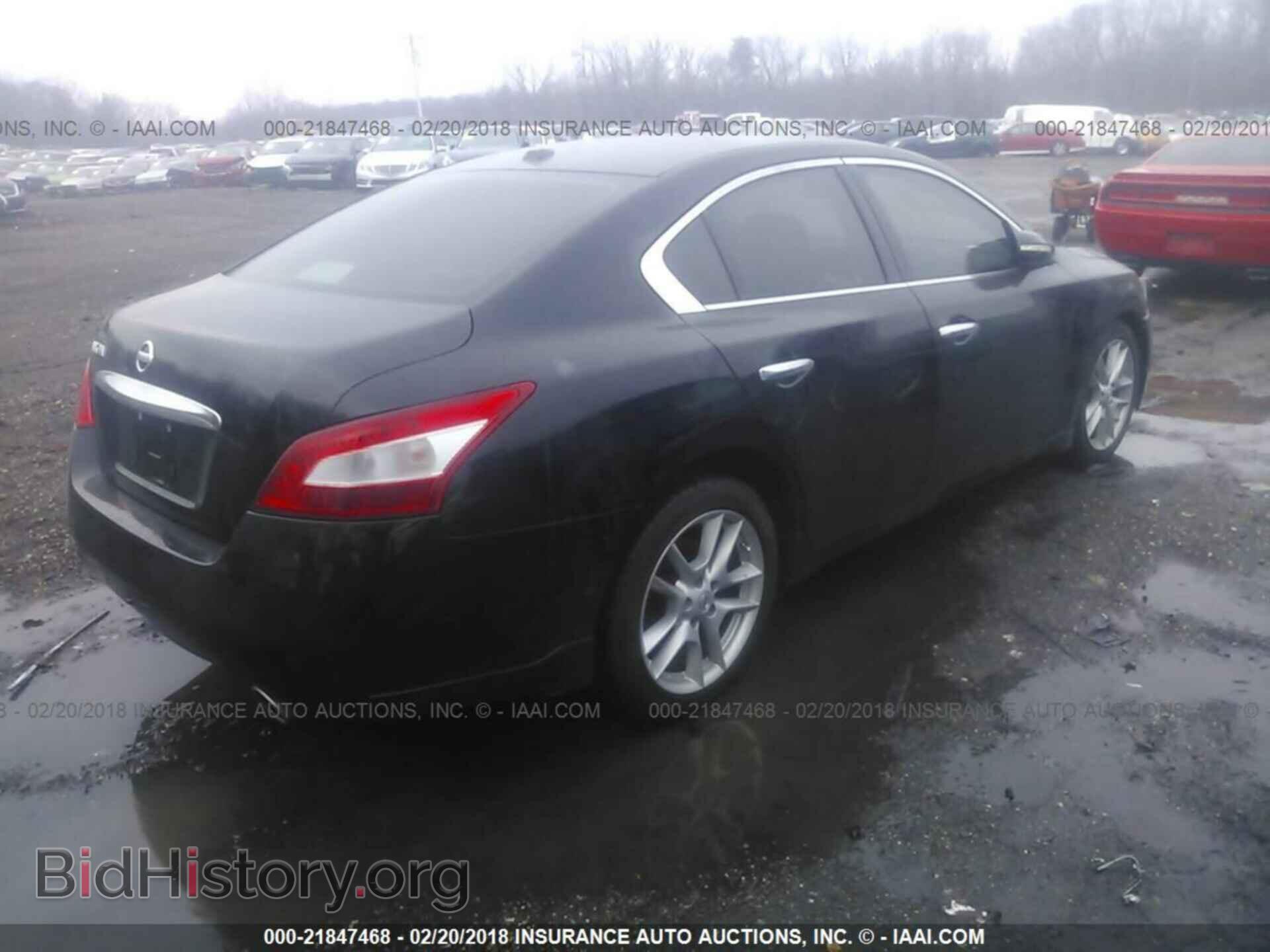 2011 Nissan Maxima - VIN: 1N4AA5AP8BC802135 - Фото 4