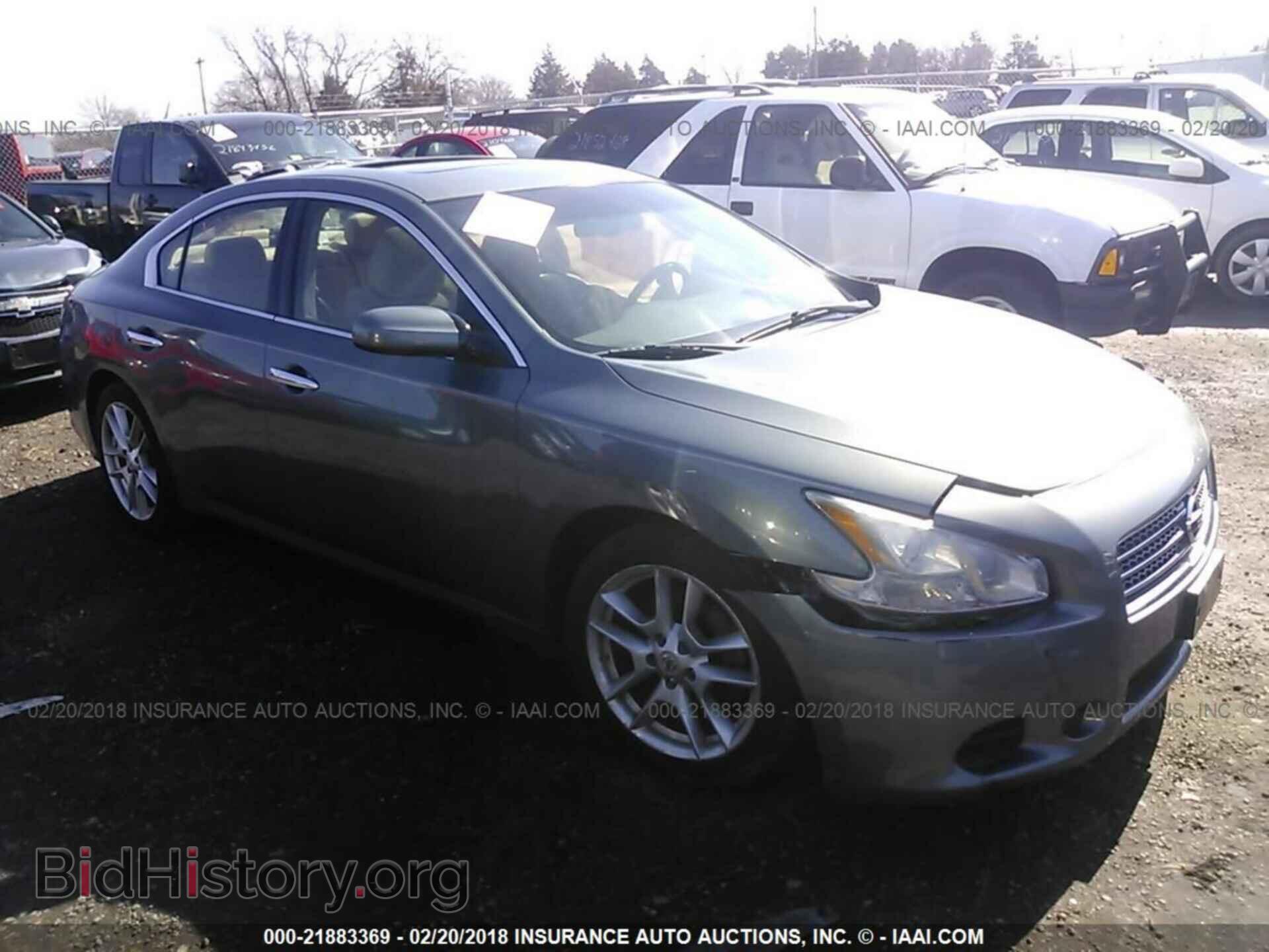 Фотография 1N4AA5AP4BC859982 - Nissan Maxima 2011