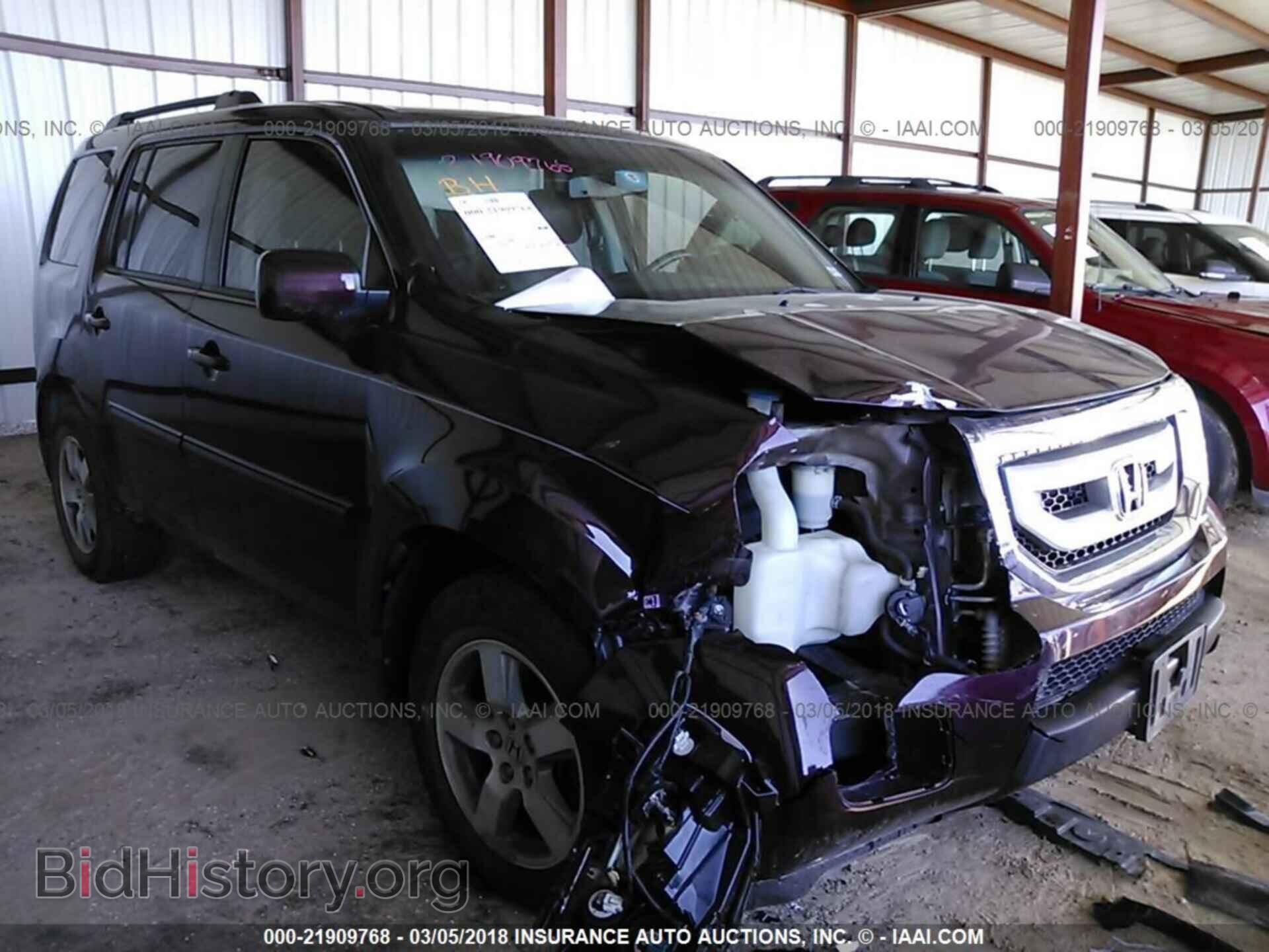 Фотография 5FNYF3H54BB001031 - Honda Pilot 2011