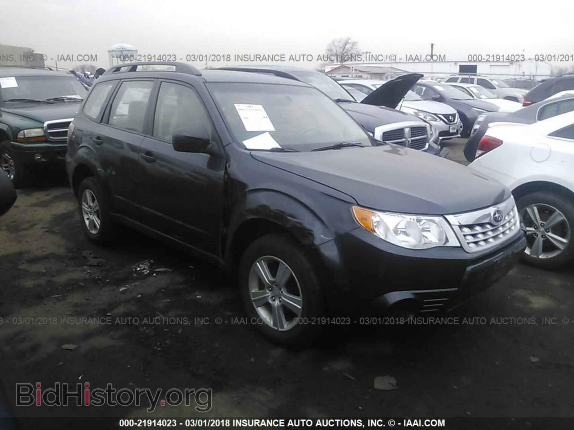Фотография JF2SHABC5BH728742 - Subaru Forester 2011