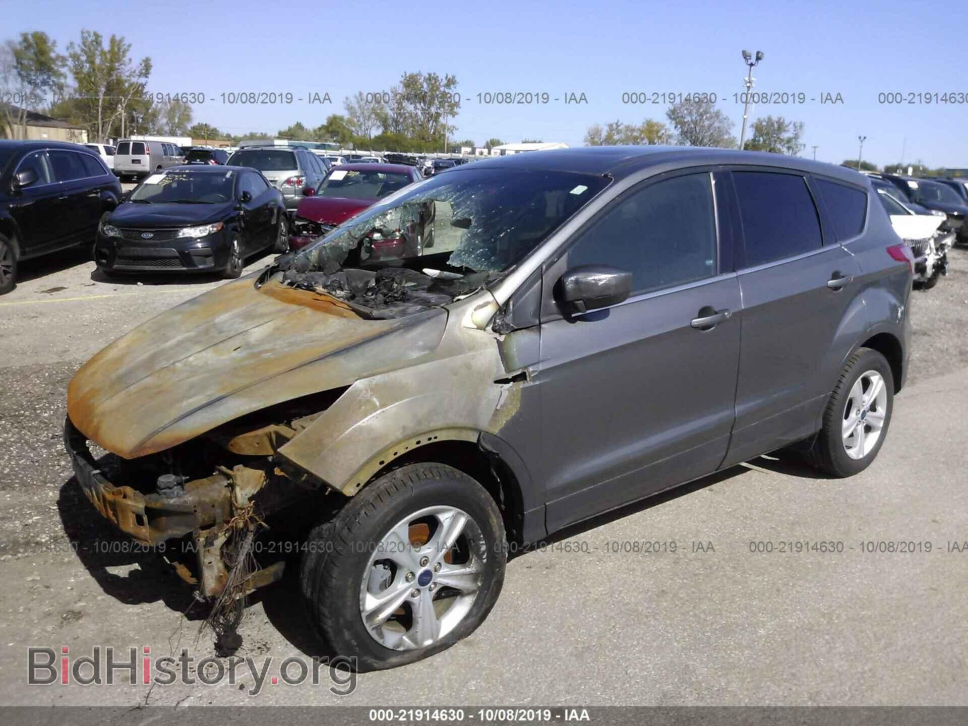 2014 FORD ESCAPE - VIN: 1FMCU0GX5EUC52908 - Photo 2