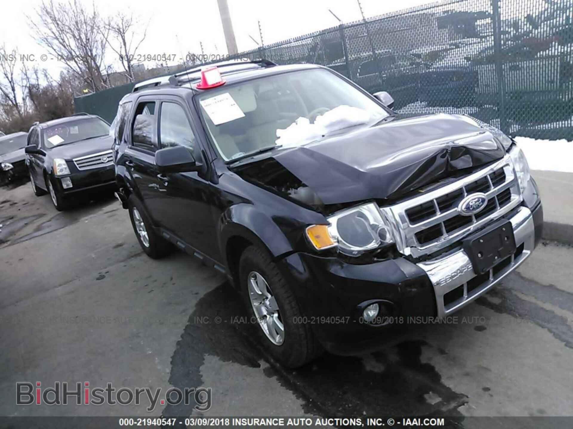 Фотография 1FMCU0E77BKA98552 - Ford Escape 2011