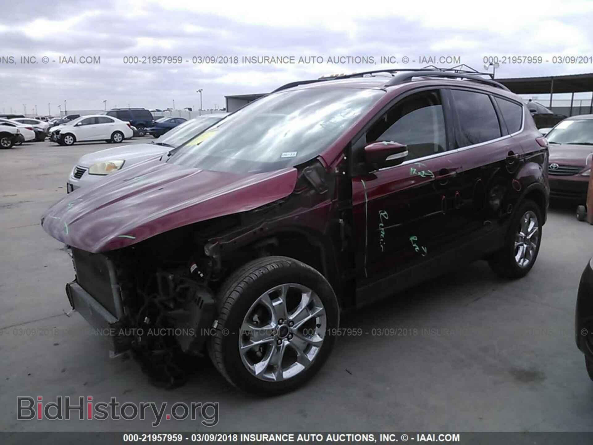 2013 Ford Escape - VIN: 1FMCU0HX5DUD85584 - Фото 2