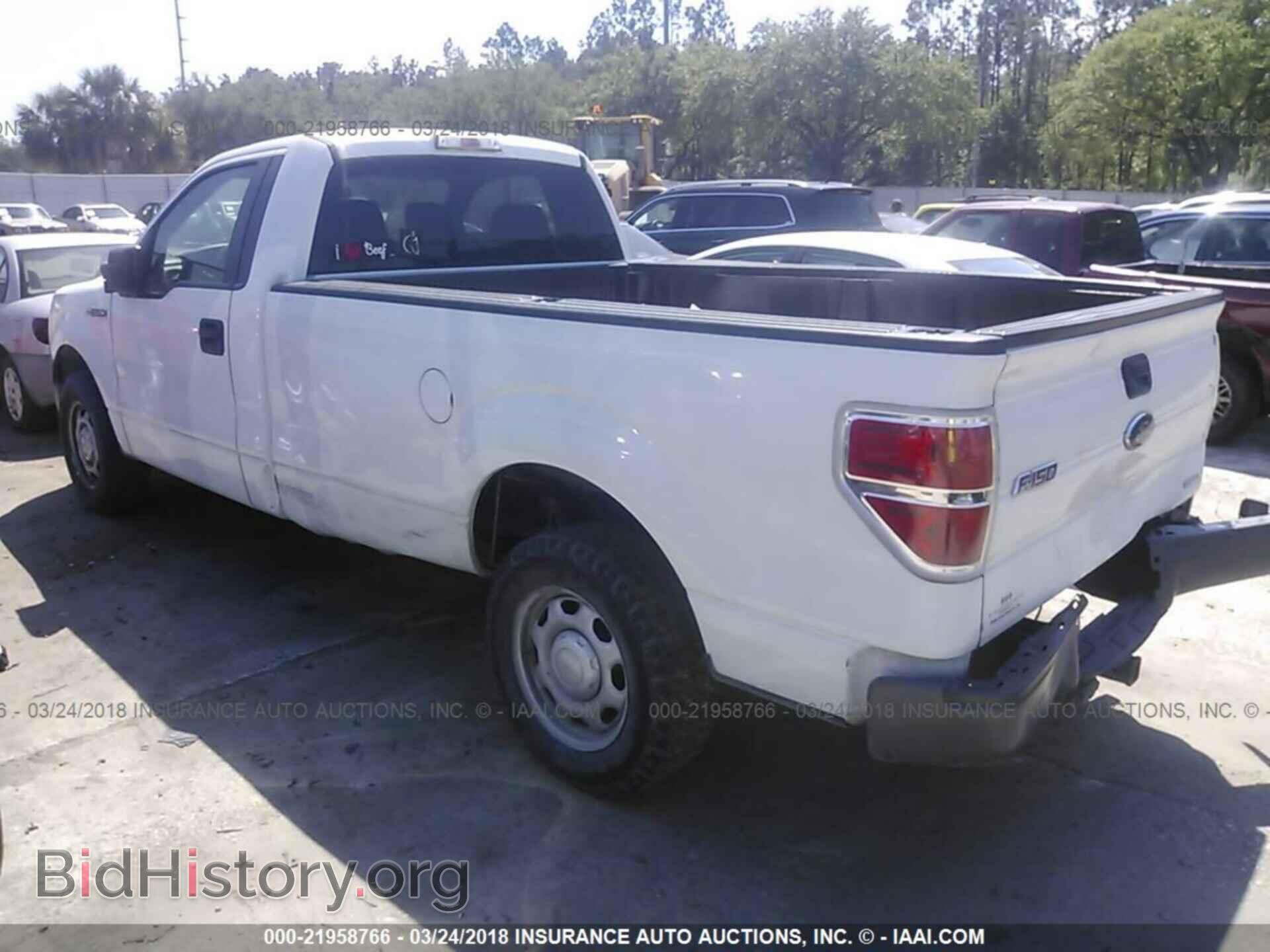 2013 Ford F150 - VIN: 1FTMF1CM2DKF76302 - Photo 3