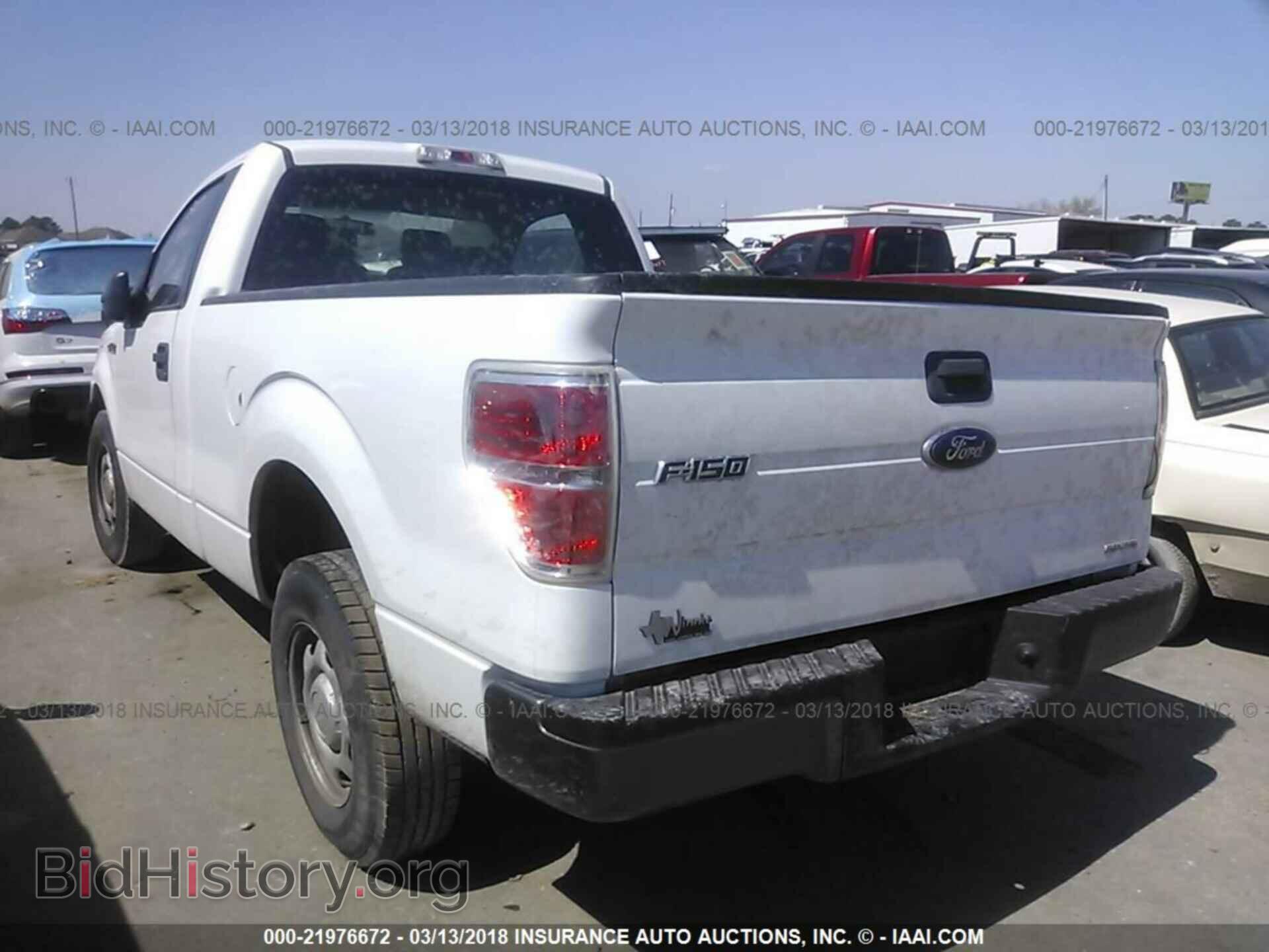 2013 Ford F150 - VIN: 1FTMF1CM3DFE02442 - Фото 3
