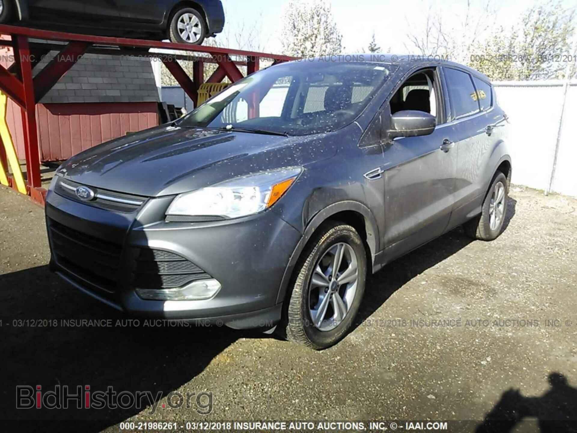 2013 Ford Escape - VIN: 1FMCU0GX4DUB25369 - Фото 2