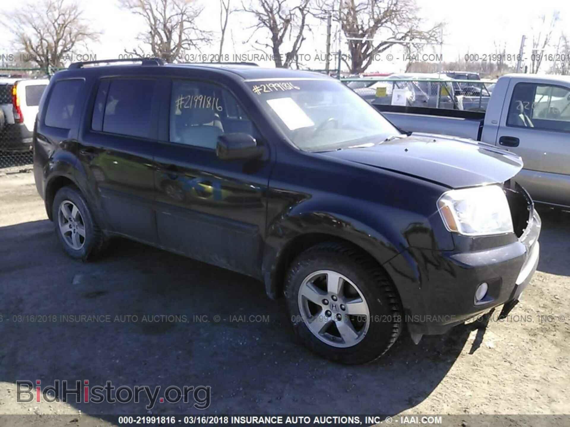 Фотография 5FNYF4H57BB105955 - Honda Pilot 2011