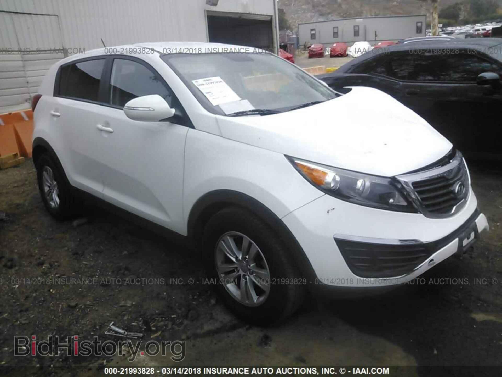 Photo KNDPB3A29B7063473 - Kia Sportage 2011