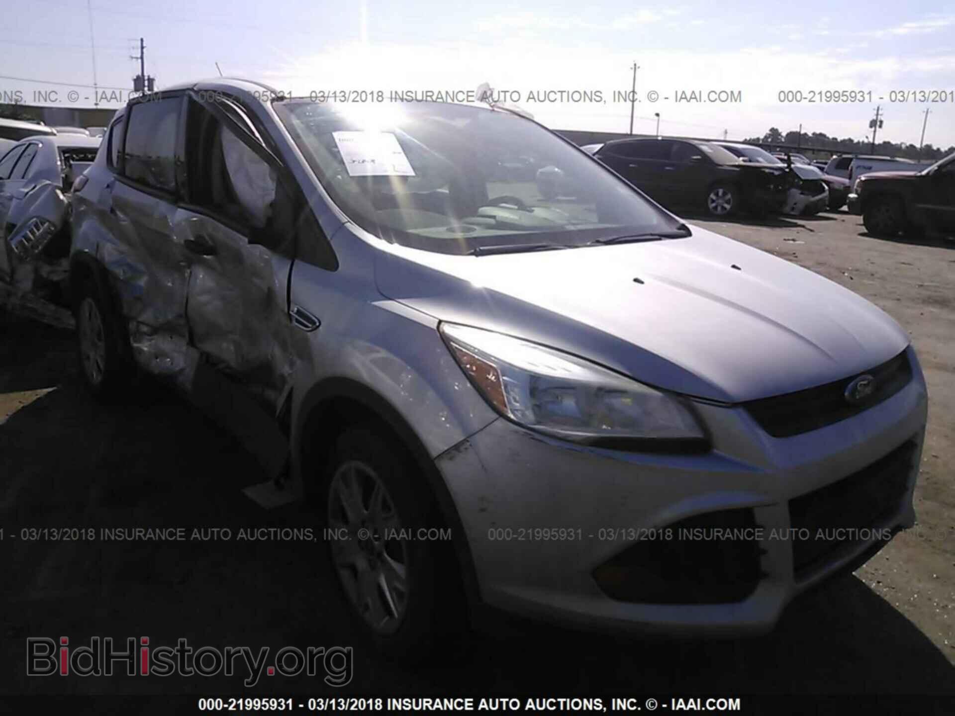 Фотография 1FMCU0F71DUC23373 - Ford Escape 2013