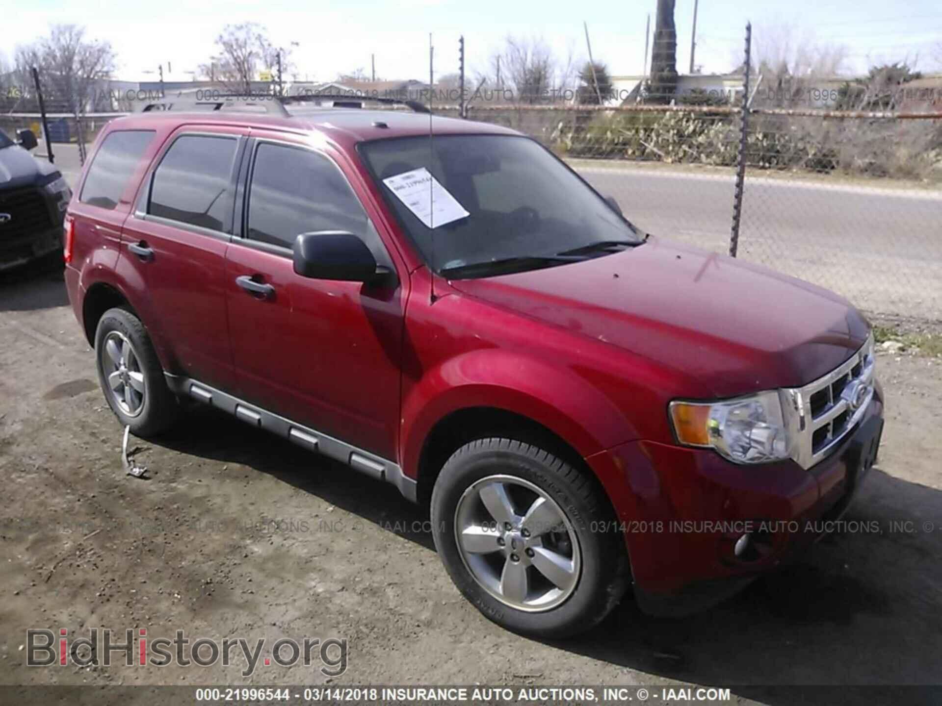Фотография 1FMCU0DG1BKA61840 - Ford Escape 2011