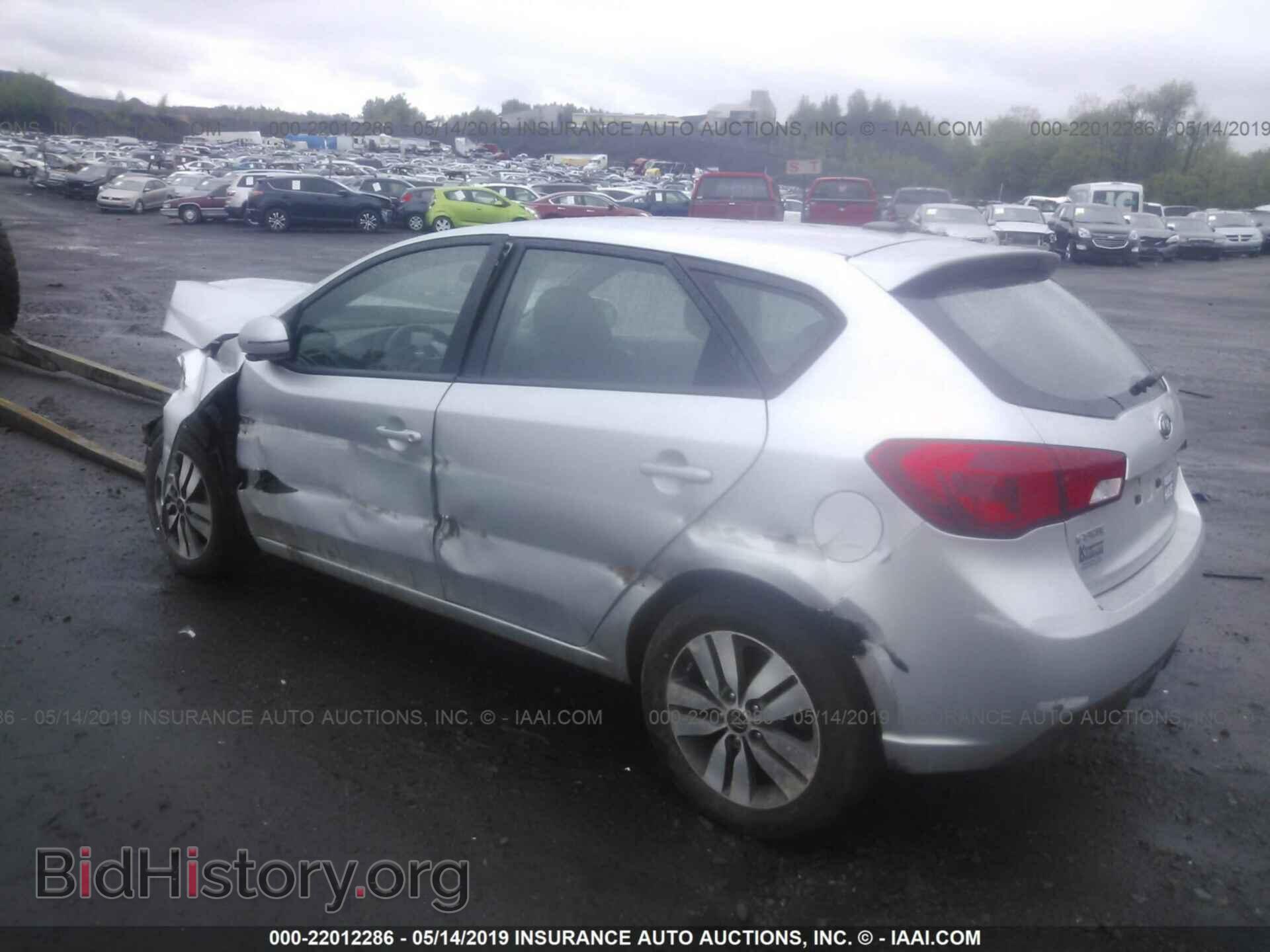 2013 KIA FORTE - VIN: KNAFU5A27D5697829 - Фото 3