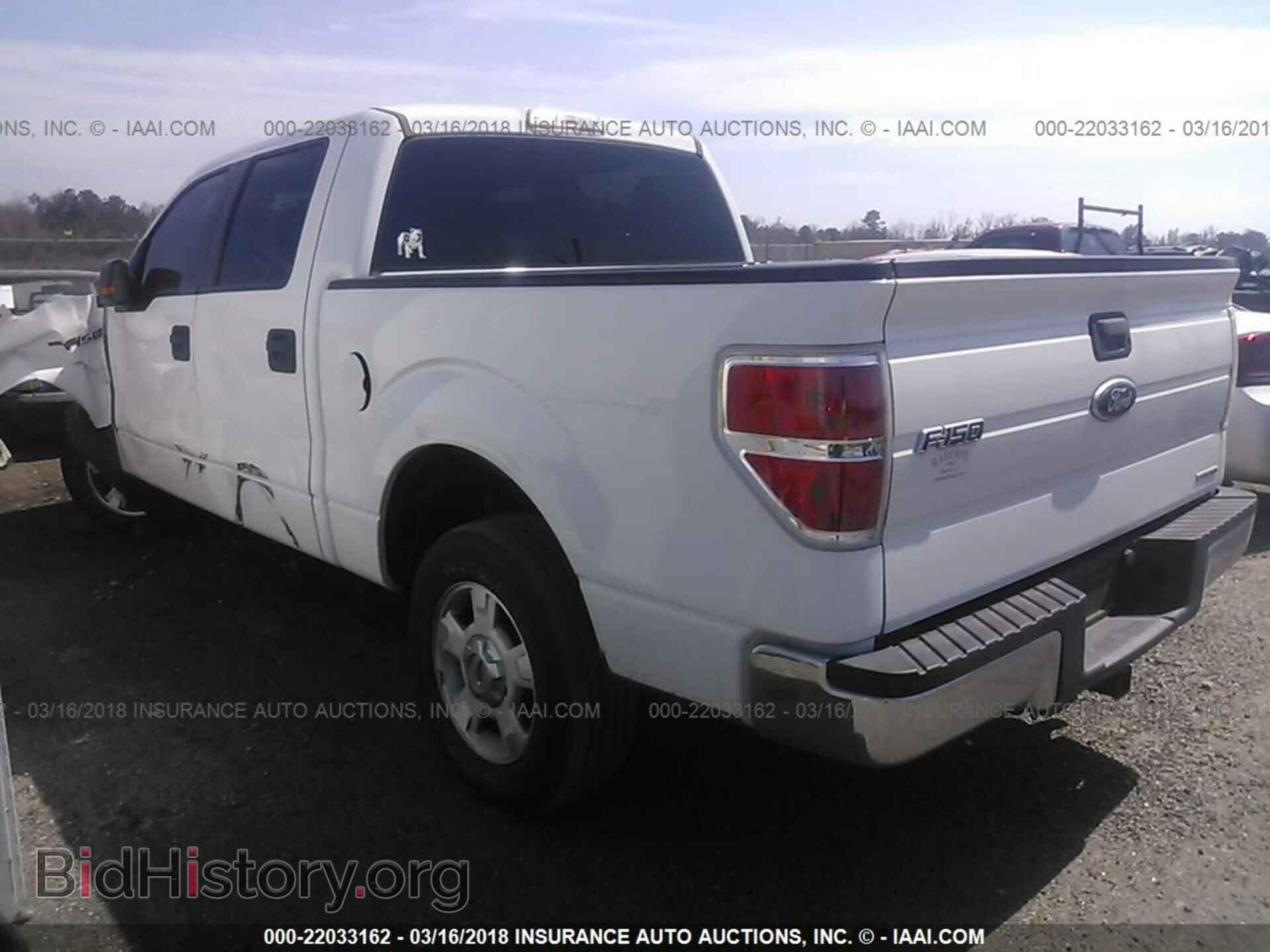 2011 Ford F150 - VIN: 1FTEW1CM0BFD00632 - Фото 3