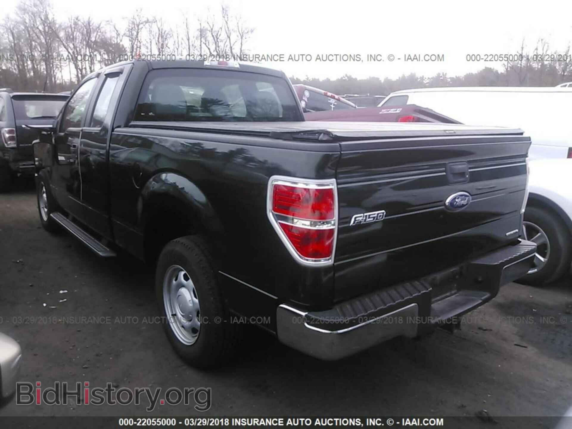 2013 Ford F150 - VIN: 1FTEX1CM2DFD19411 - Photo 3