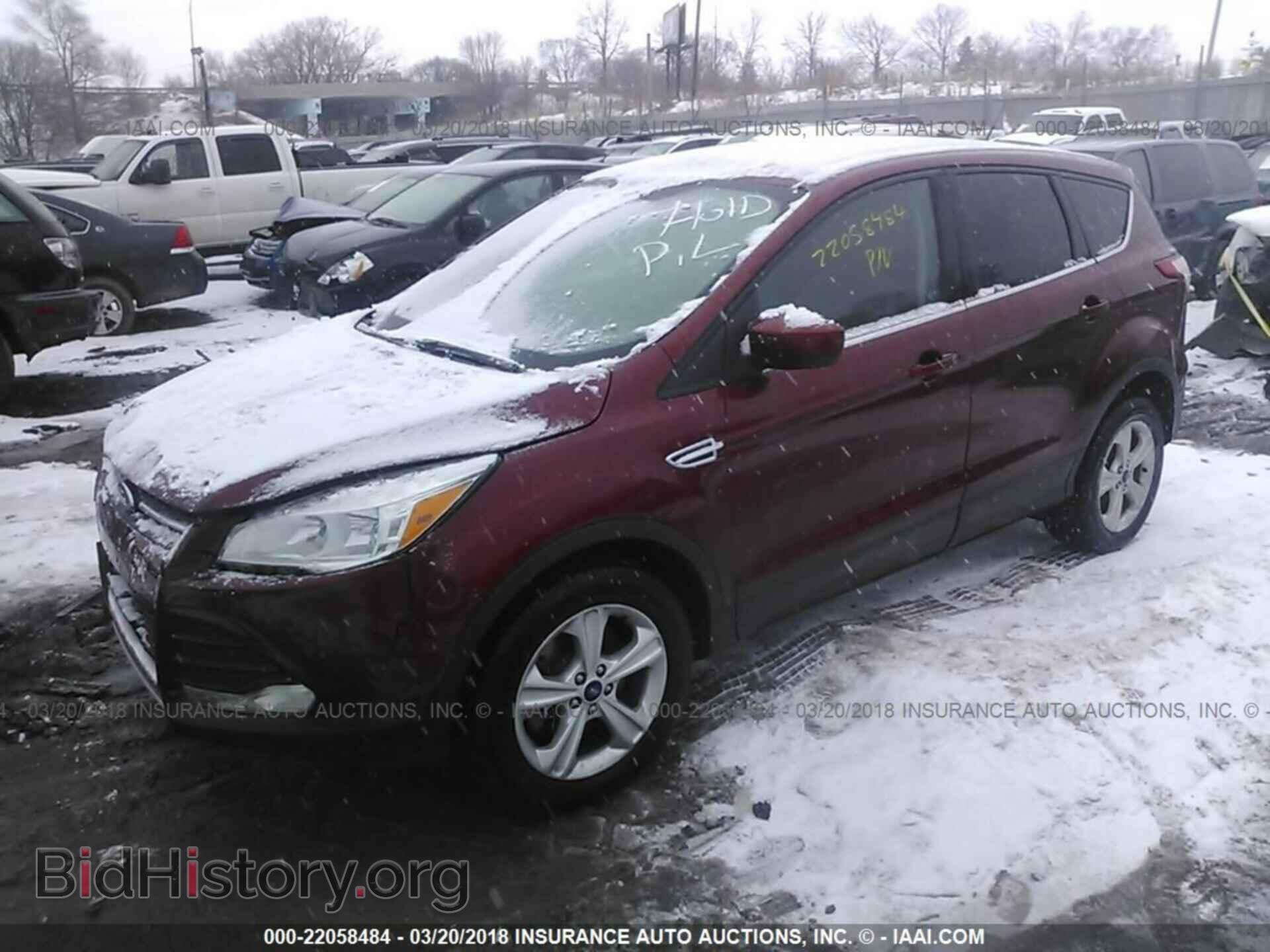 2014 Ford Escape - VIN: 1FMCU9G97EUA03676 - Фото 2