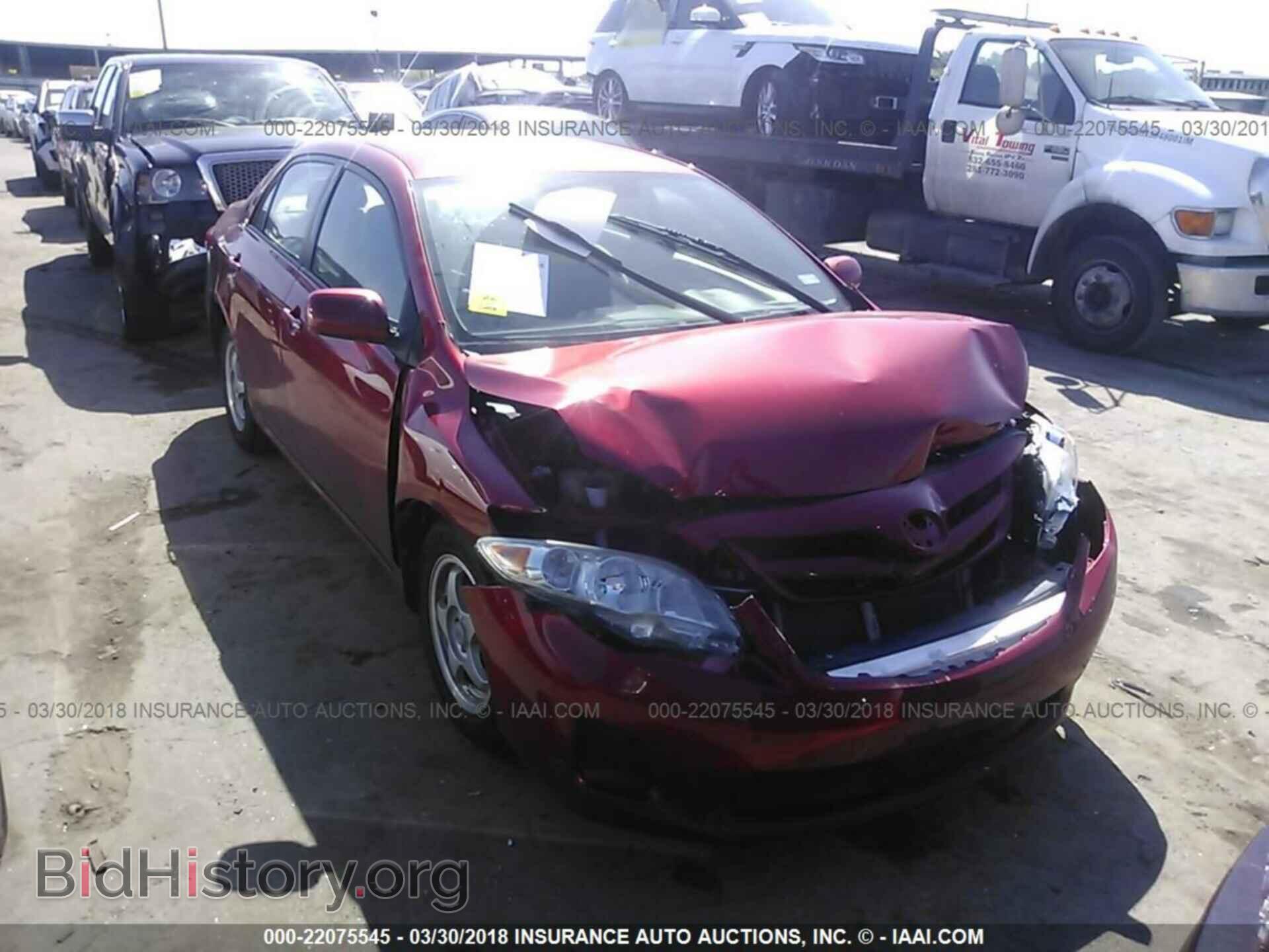 Photo 2T1BU4EE0BC555337 - Toyota Corolla 2011