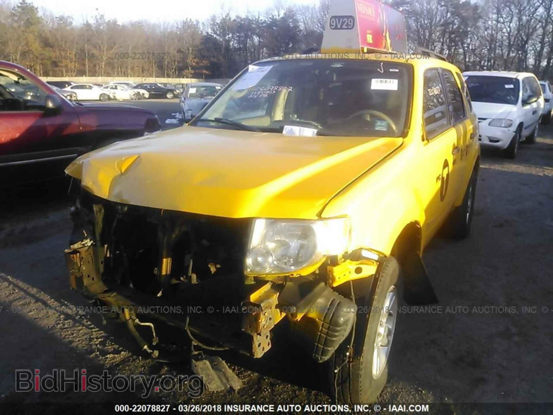 2011 Ford Escape - VIN: 1FMCU4K39BKA16507 - Фото 6
