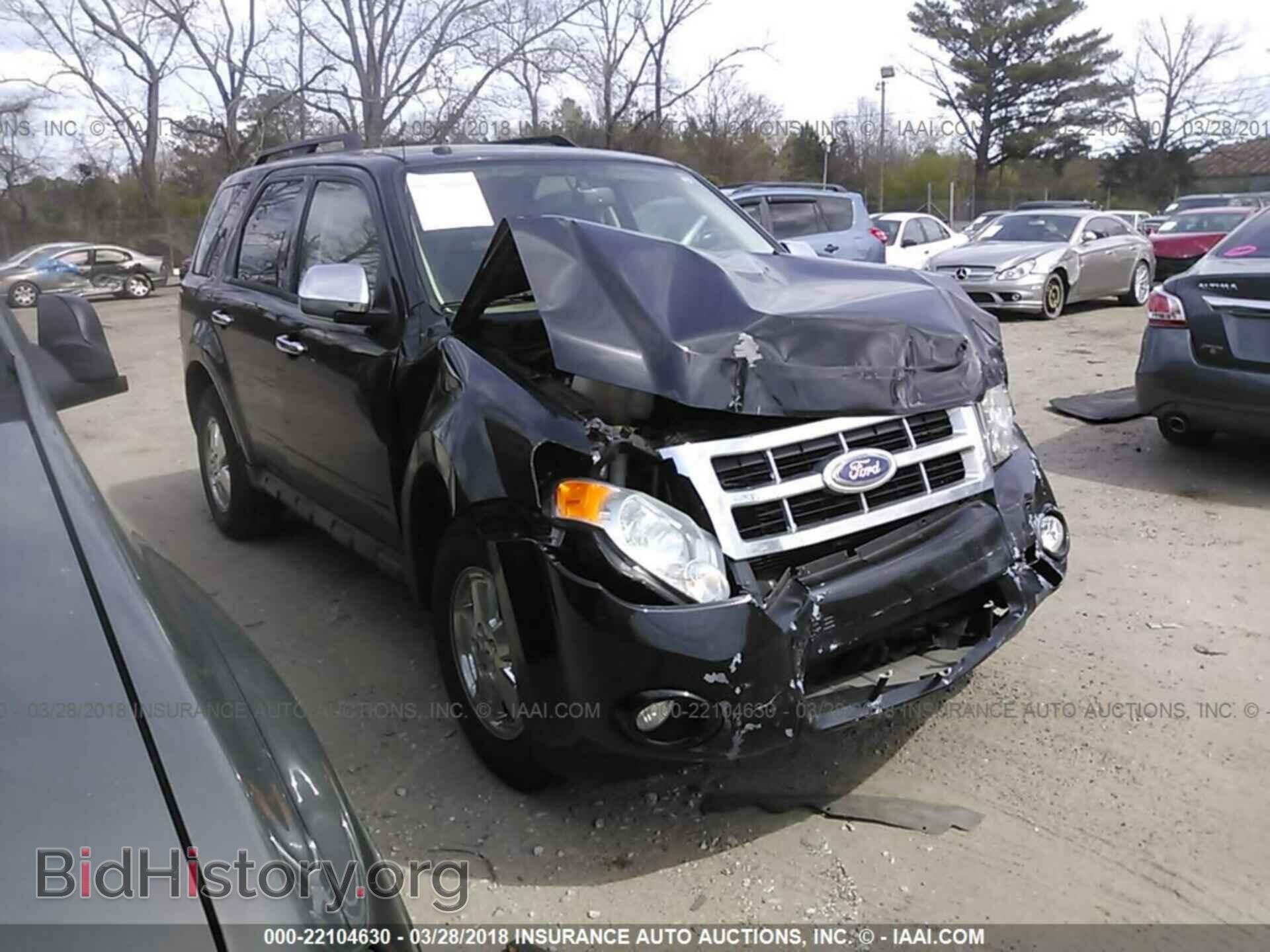 Photo 1FMCU0D73BKC31311 - Ford Escape 2011