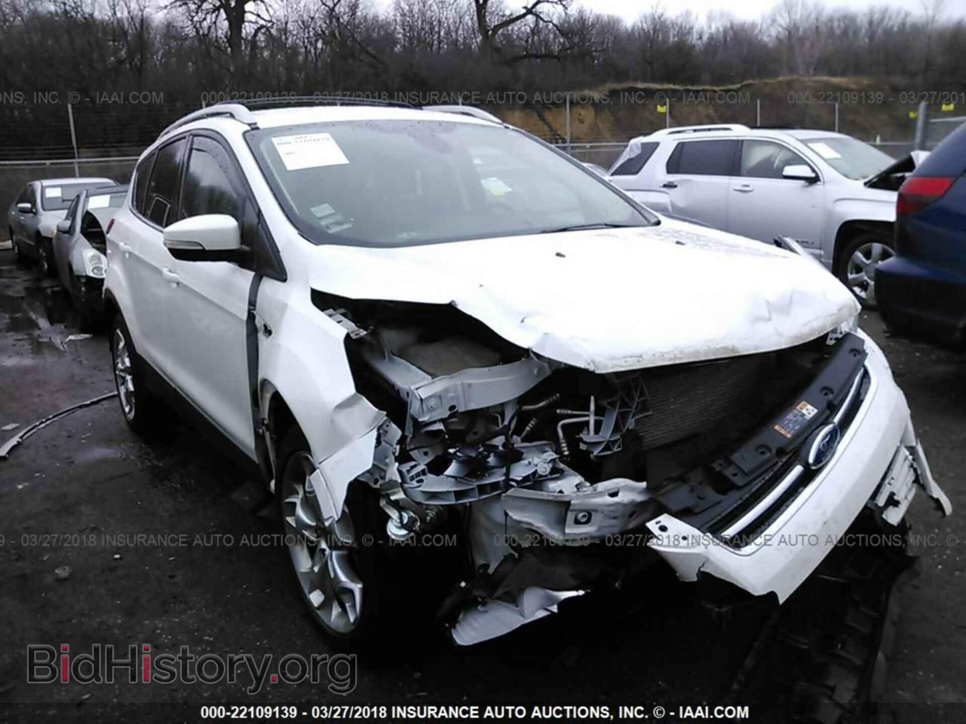 Photo 1FMCU0J93EUA58971 - Ford Escape 2014
