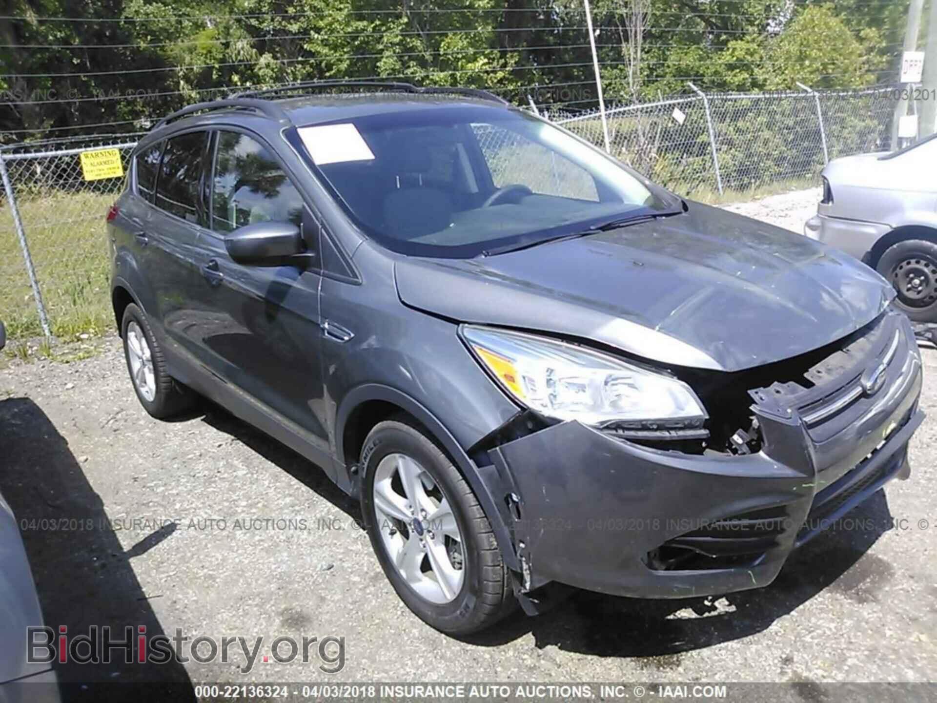 Photo 1FMCU0GX8EUD22367 - Ford Escape 2014