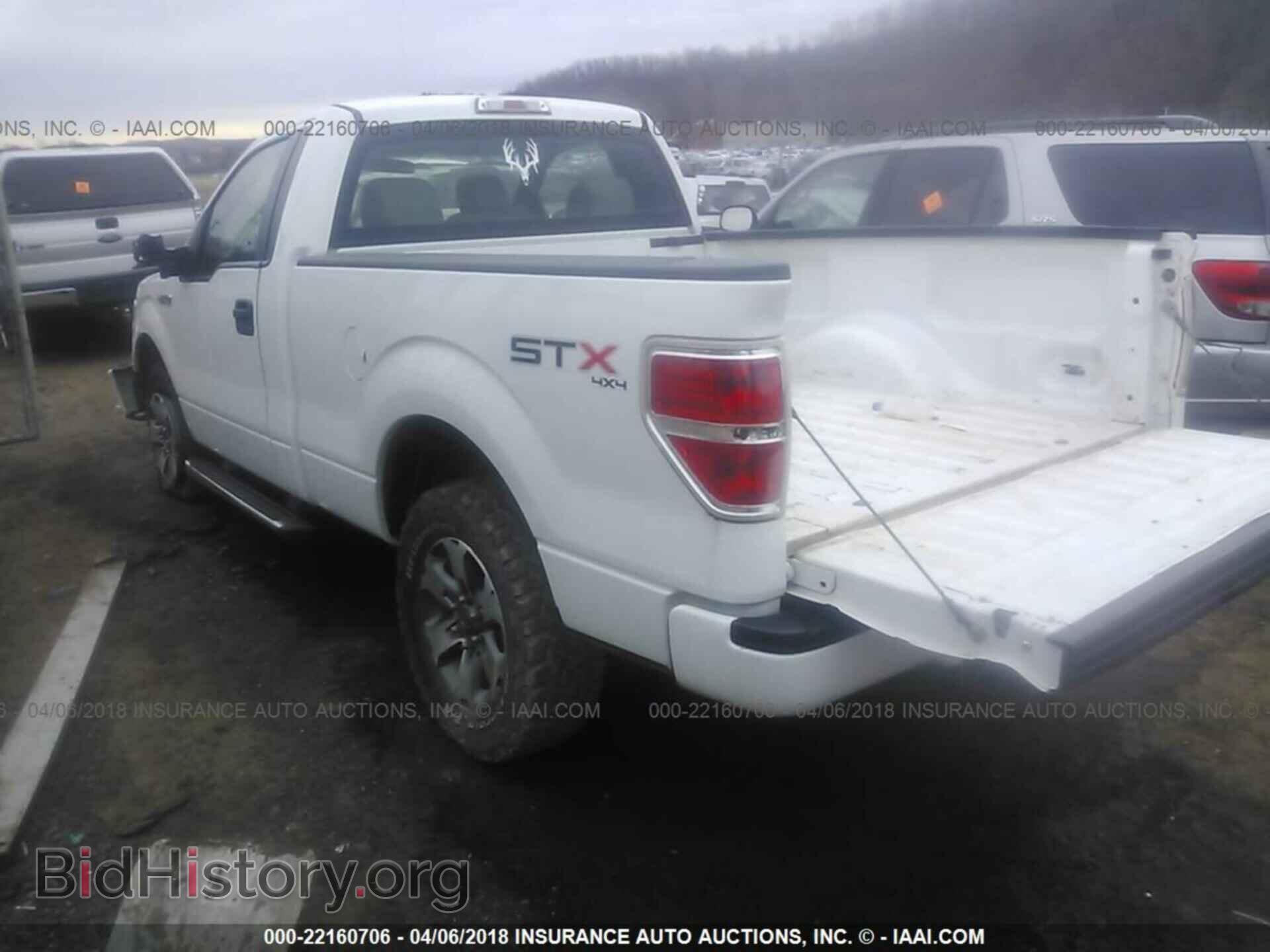 2013 Ford F150 - VIN: 1FTMF1EF0DFA59202 - Фото 3