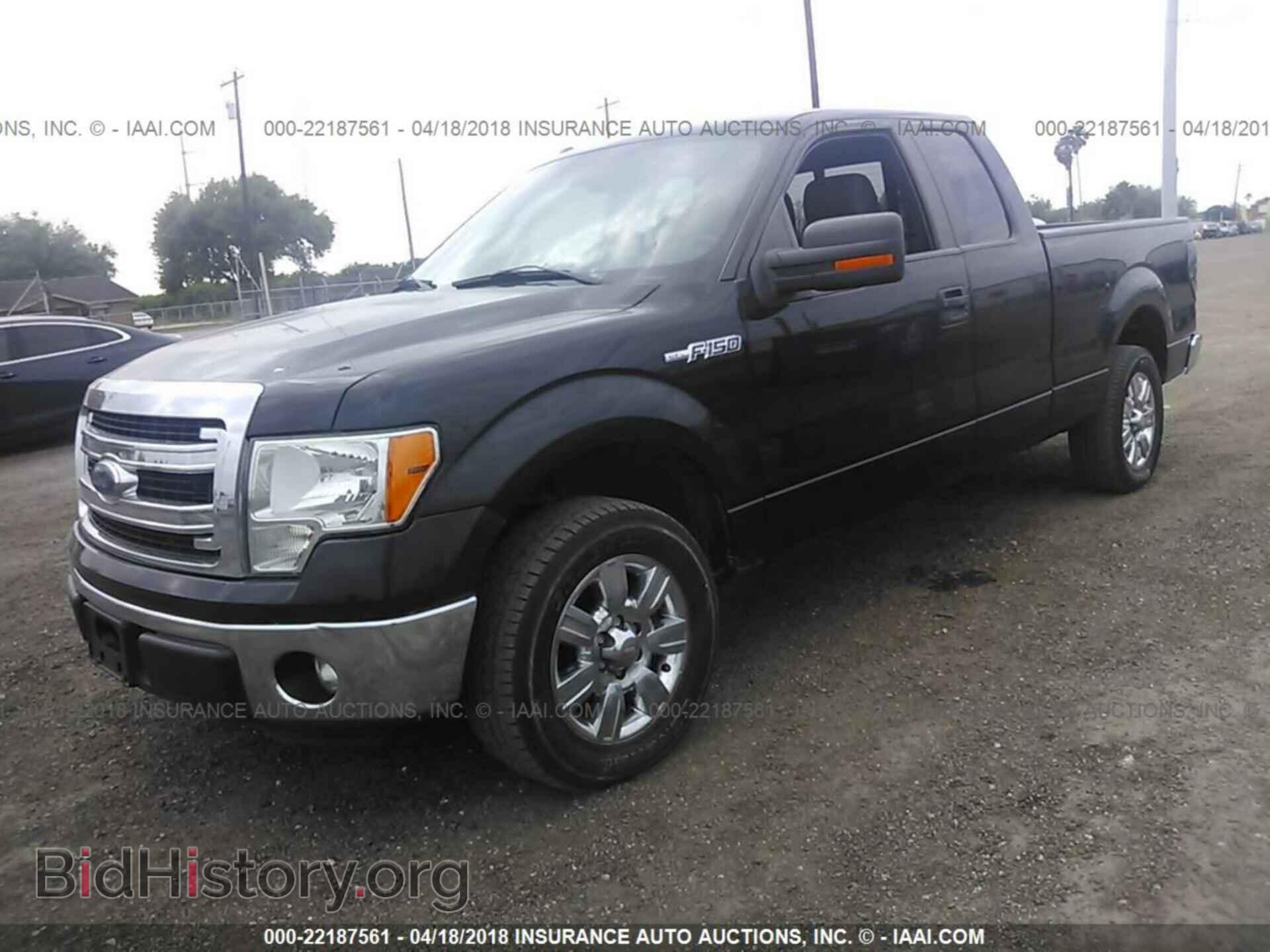 2013 Ford F150 - VIN: 1FTEX1CM9DFA94663 - Фото 2