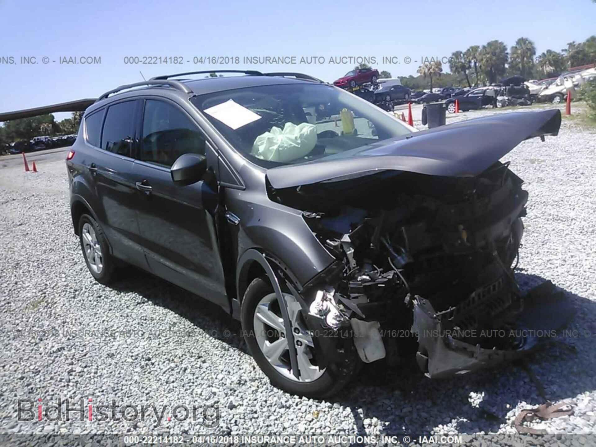 Фотография 1FMCU0GX3DUB05839 - Ford Escape 2013