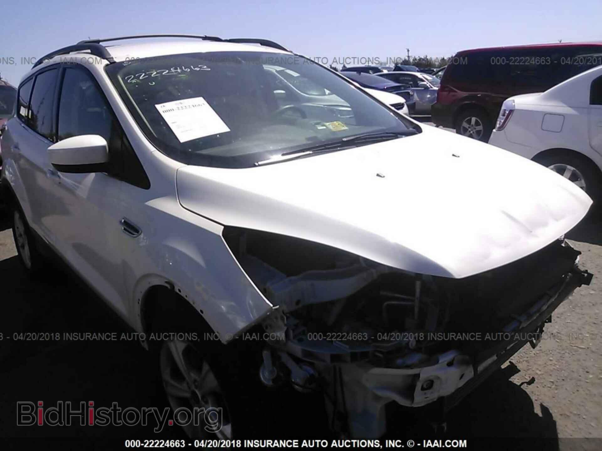 Фотография 1FMCU0G98DUC01855 - Ford Escape 2013