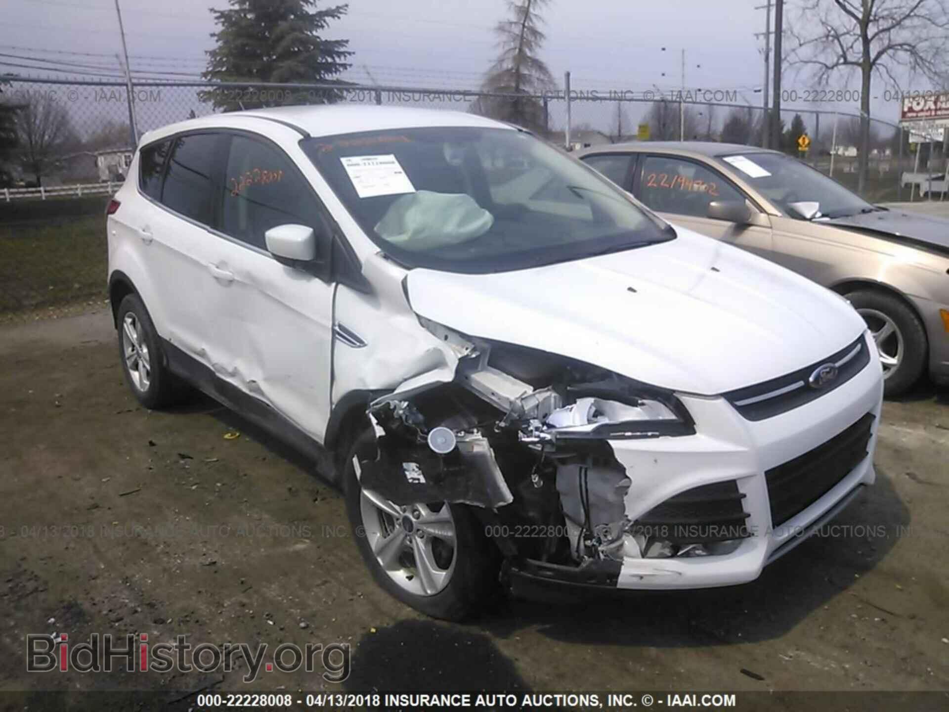 Photo 1FMCU0GX0DUA80236 - Ford Escape 2013