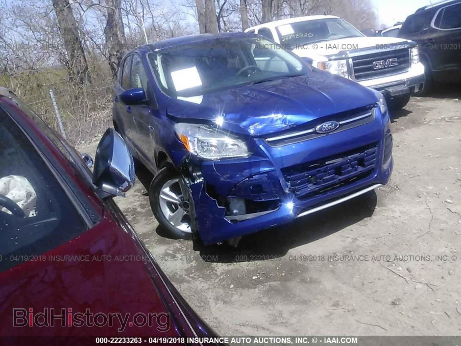 Photo 1FMCU0GX4EUE23566 - Ford Escape 2014