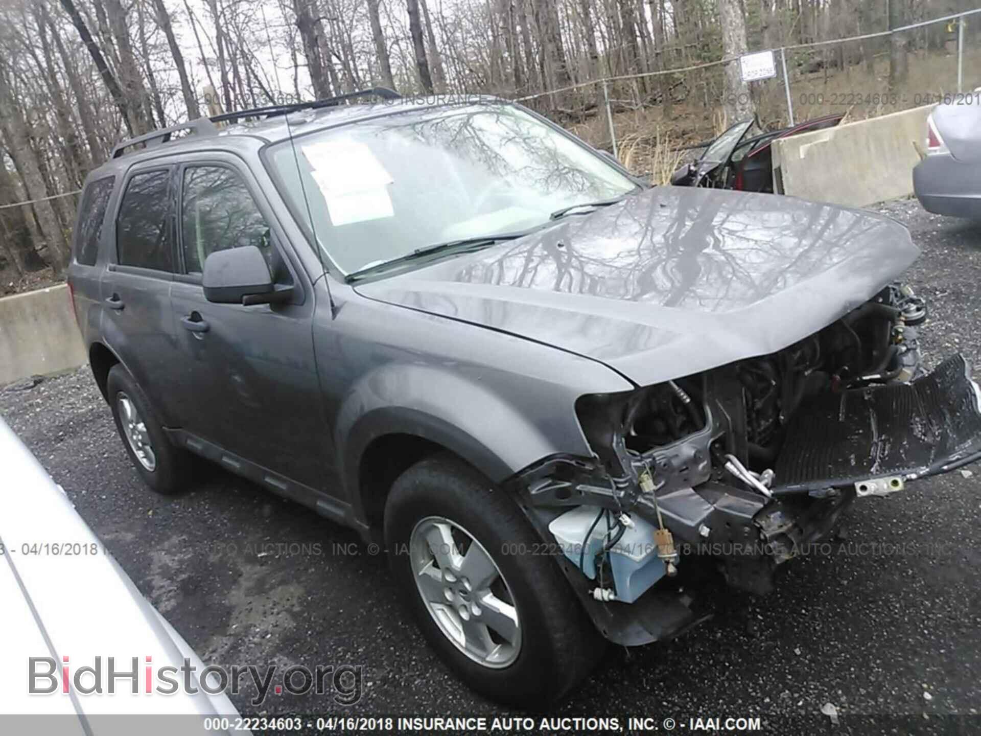 Фотография 1FMCU0D71BKB19686 - Ford Escape 2011